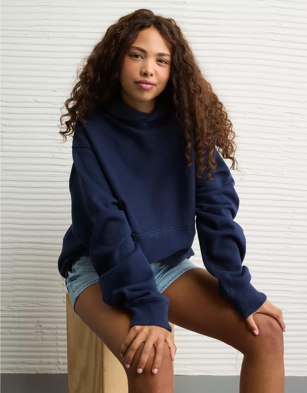 AE Laidback Luxe Heavyweight Graphic Hoodie Product Image