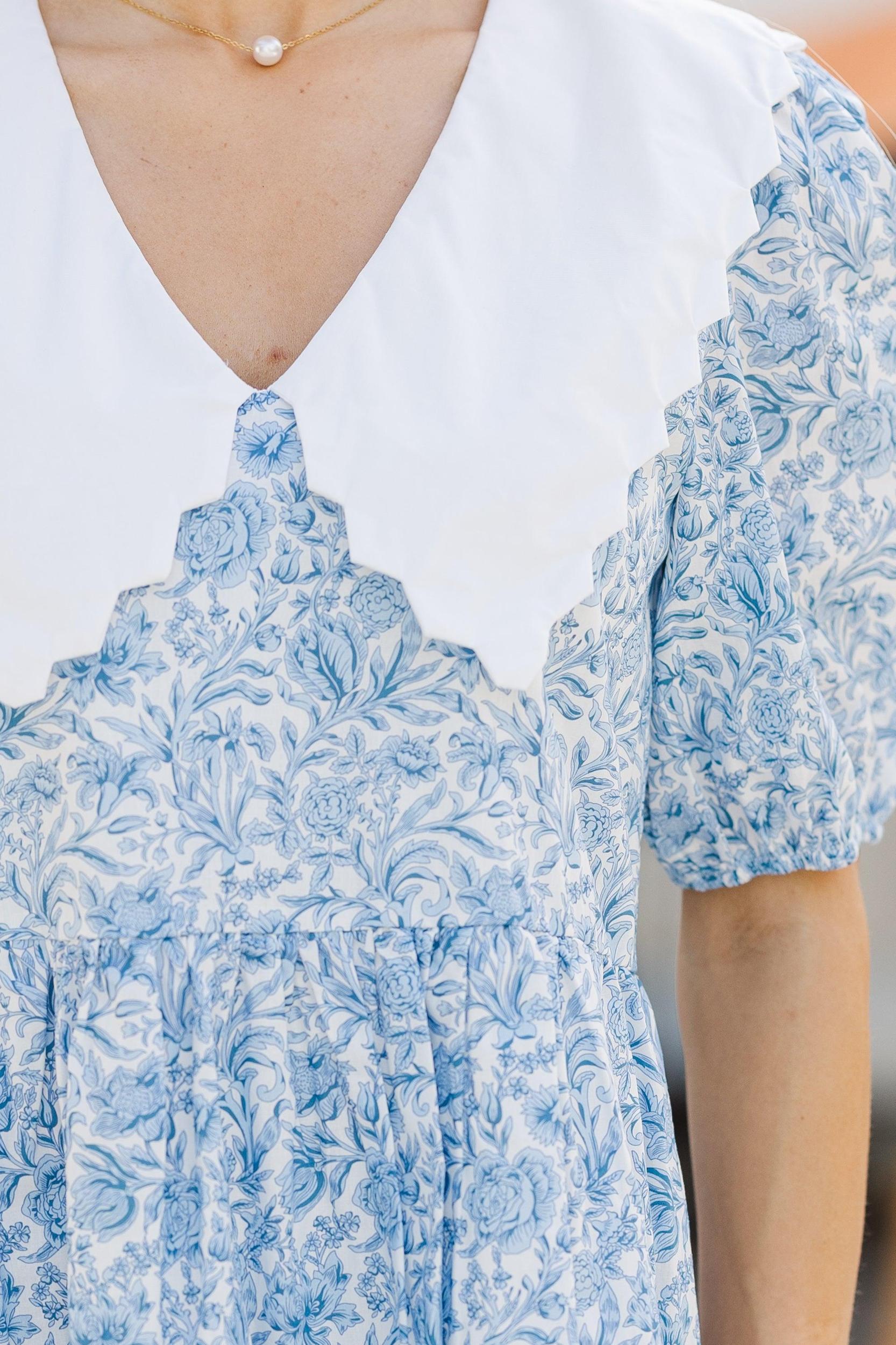 The Life Blue Toile Dress Female Product Image