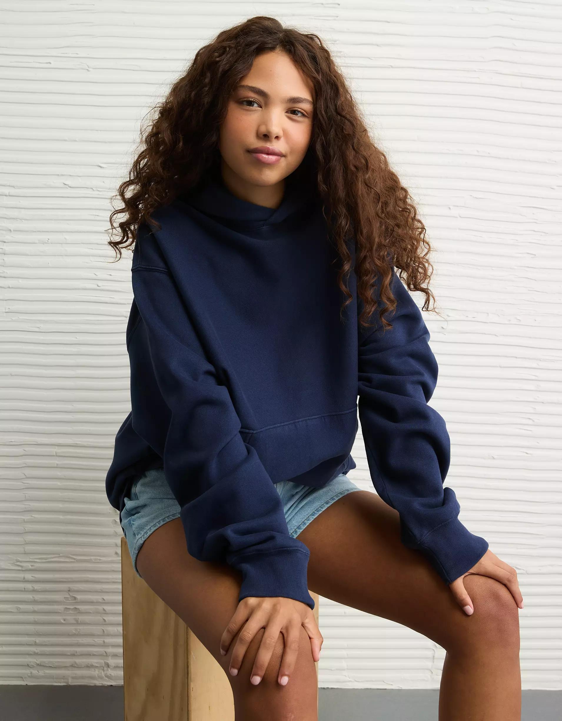 AE Laidback Luxe Heavyweight Graphic Hoodie Product Image