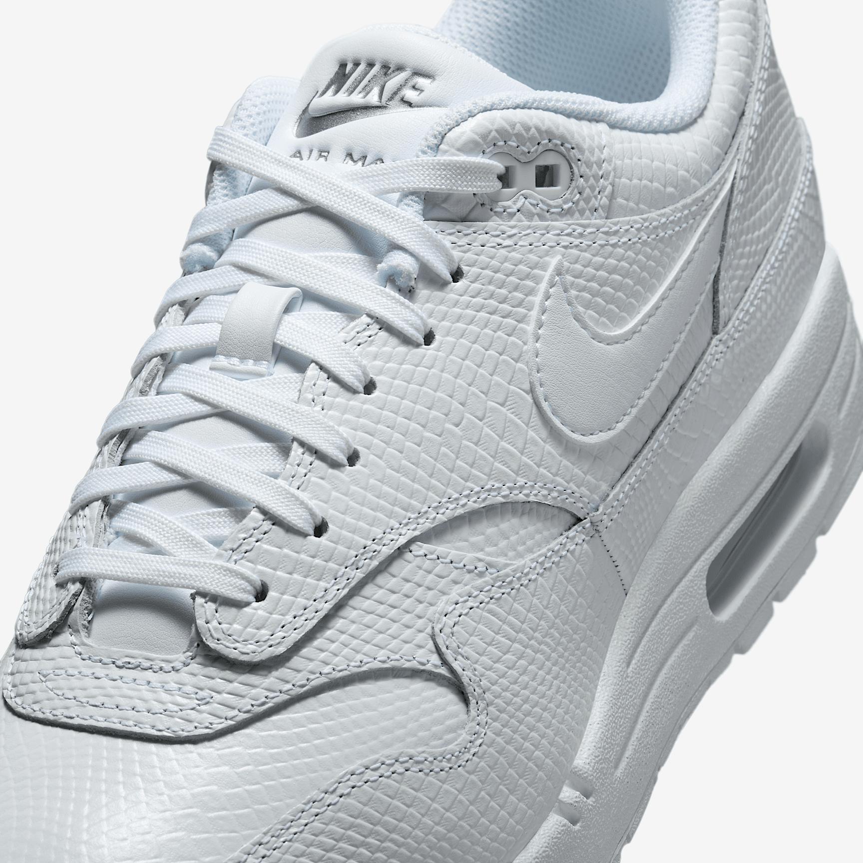 Nike Mens Air Max 1 Premium Shoes | HV1211-100 Product Image