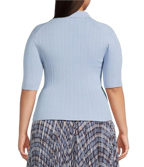Lucy Paris Plus Size Callan Short Sleeve Sweater Product Image