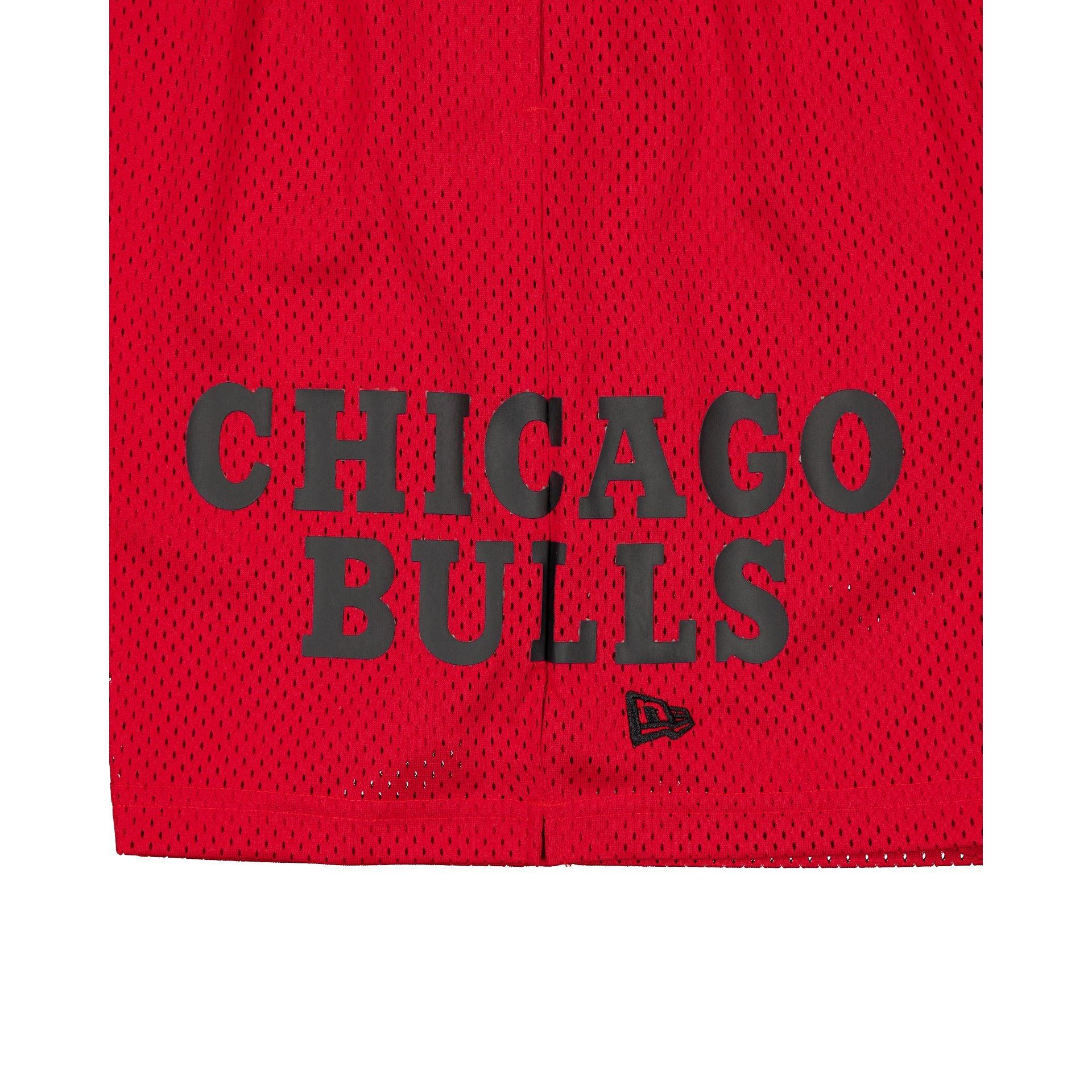 Chicago Bulls Summer Shorts Male Product Image