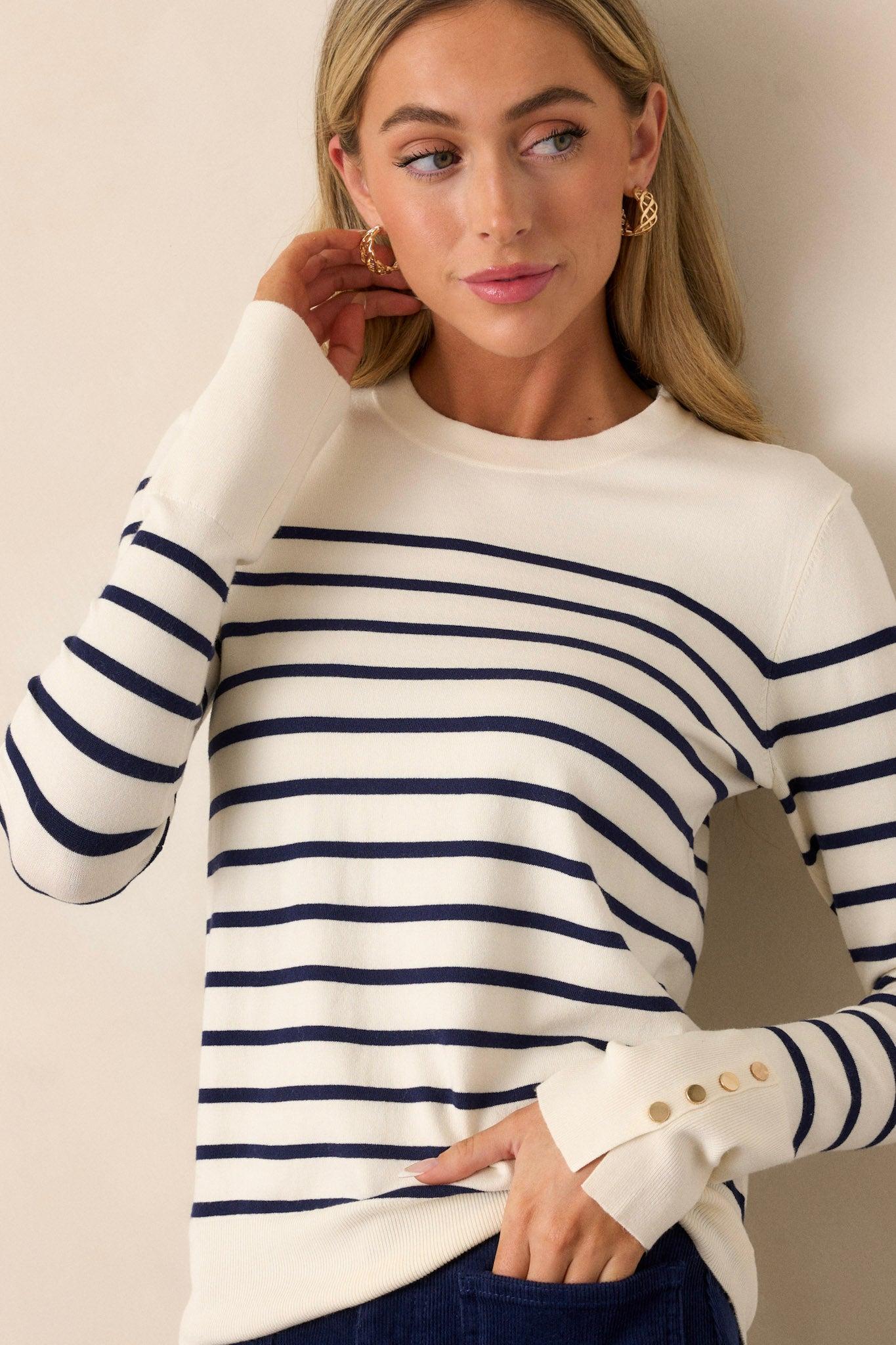 Scarlet Mist Navy Stripe Long Sleeve Top Product Image