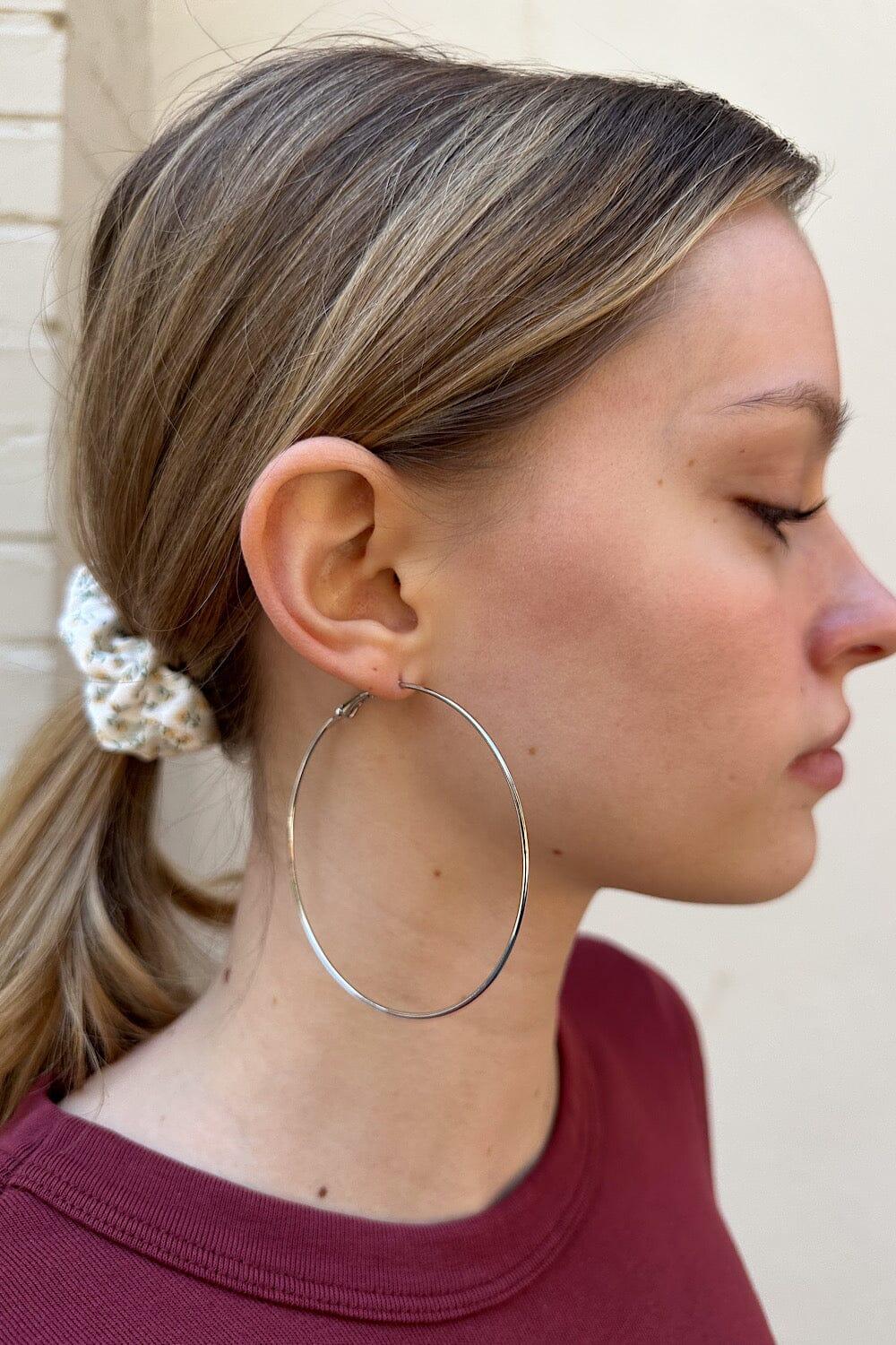 Hoop Earrings Product Image