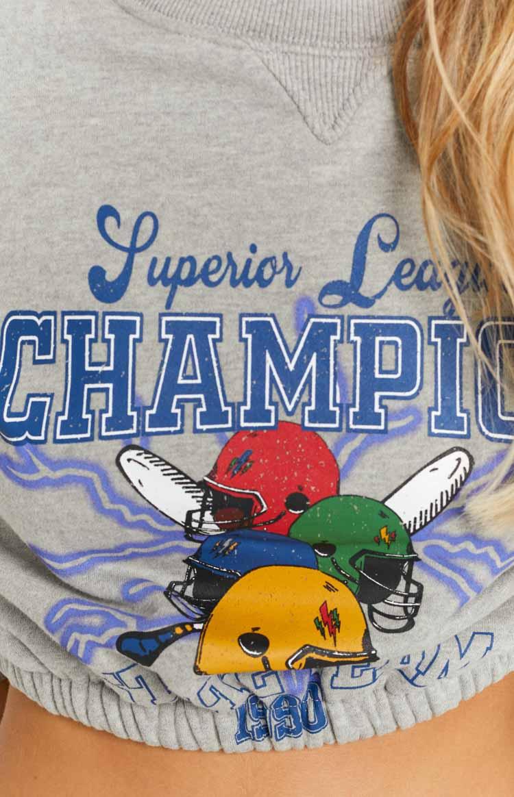 House of Champions Grey Sweater Product Image