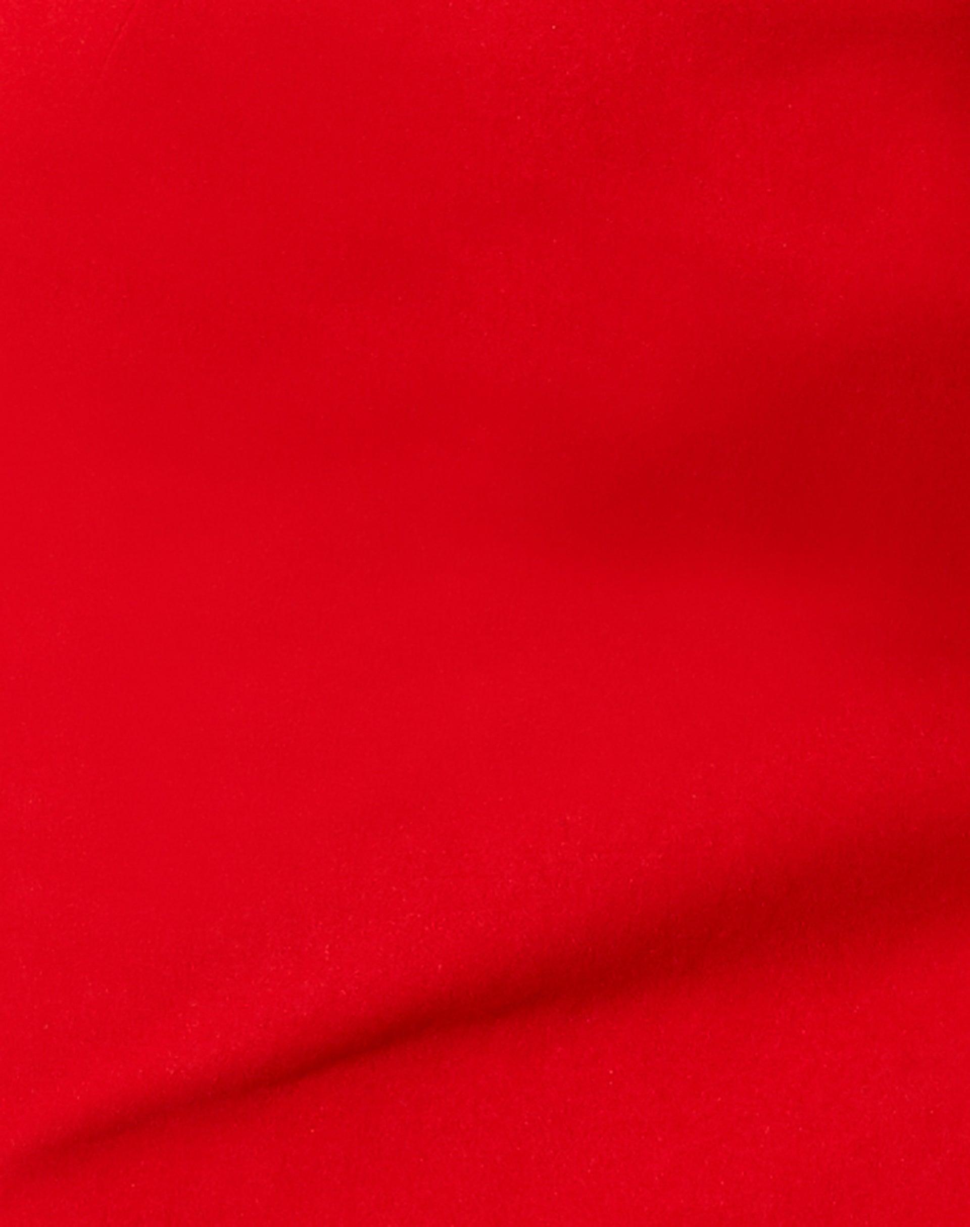 Taina Crop Top in Tailoring Red Product Image