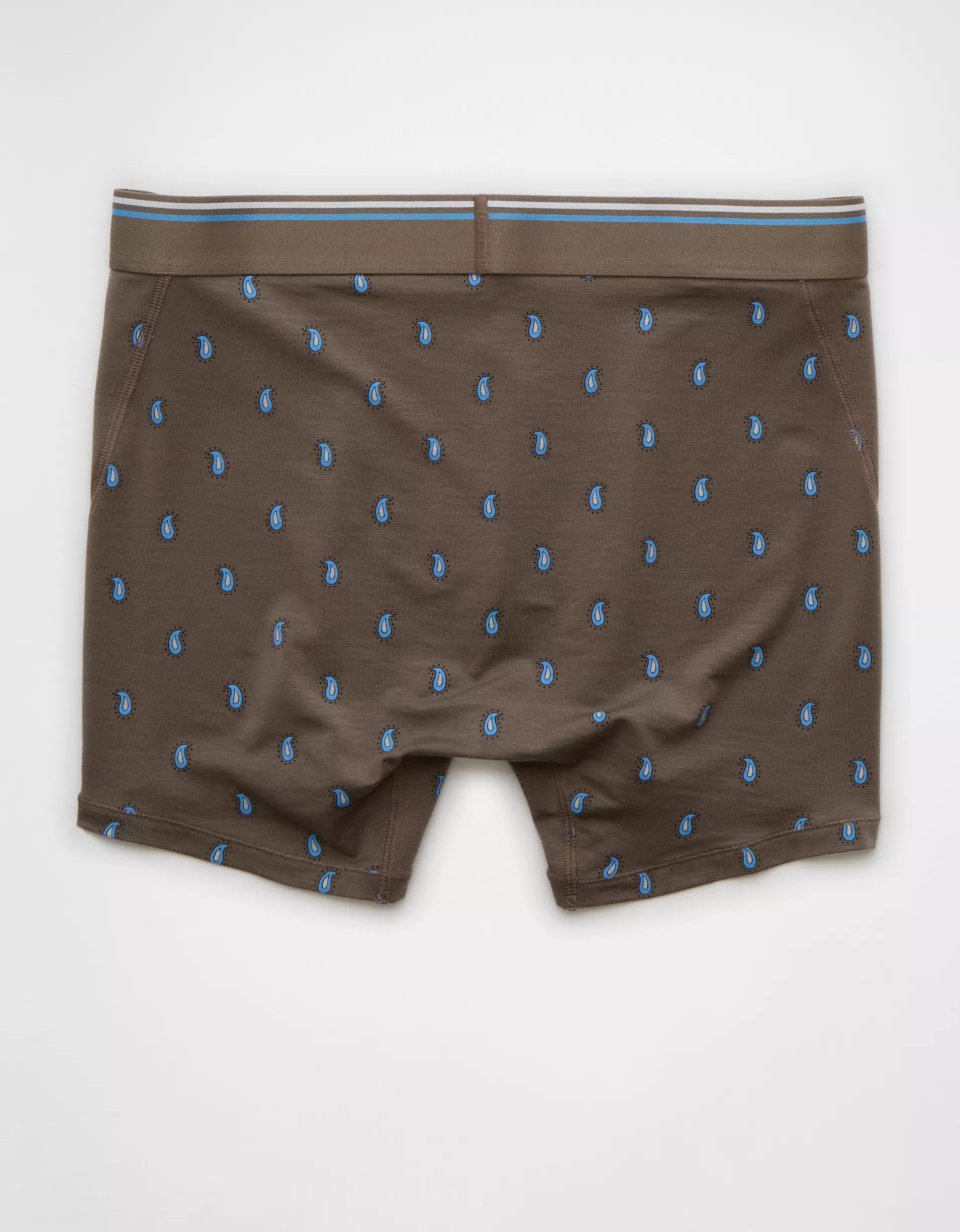 AEO Men's Paisley 4.5" Ultra Soft Boxer Brief Product Image