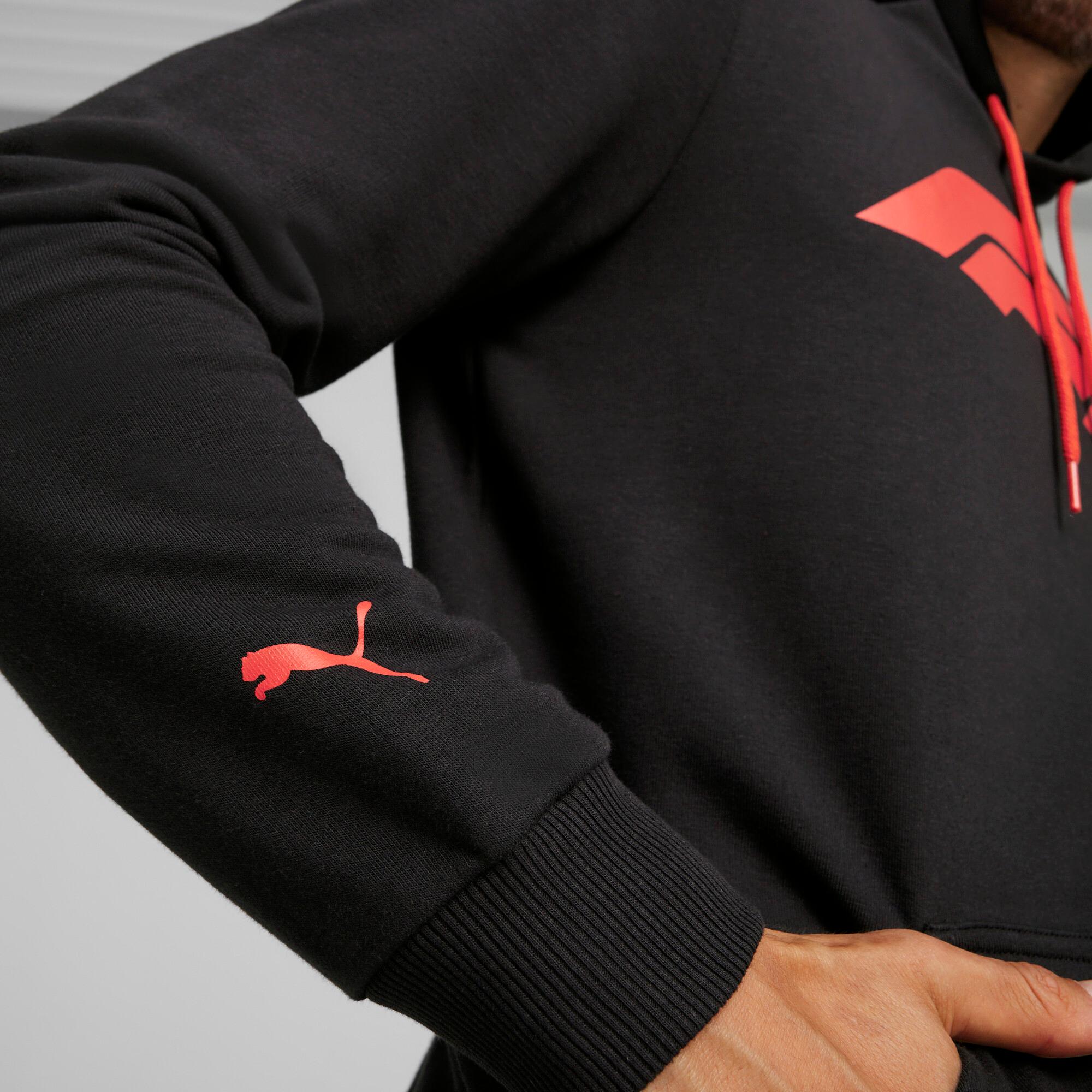 F1® Essentials Logo Hoodie Men Product Image