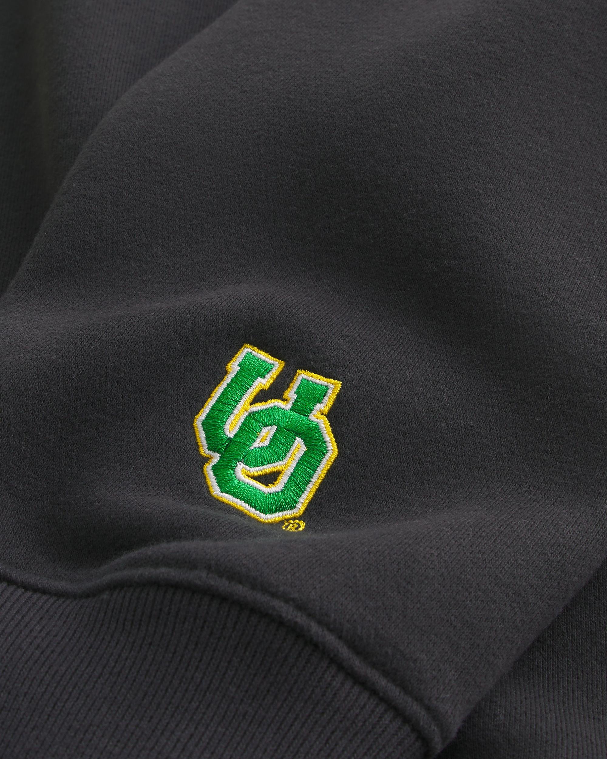 Northwestern Wildcats Graphic Crew Sweatshirt Product Image