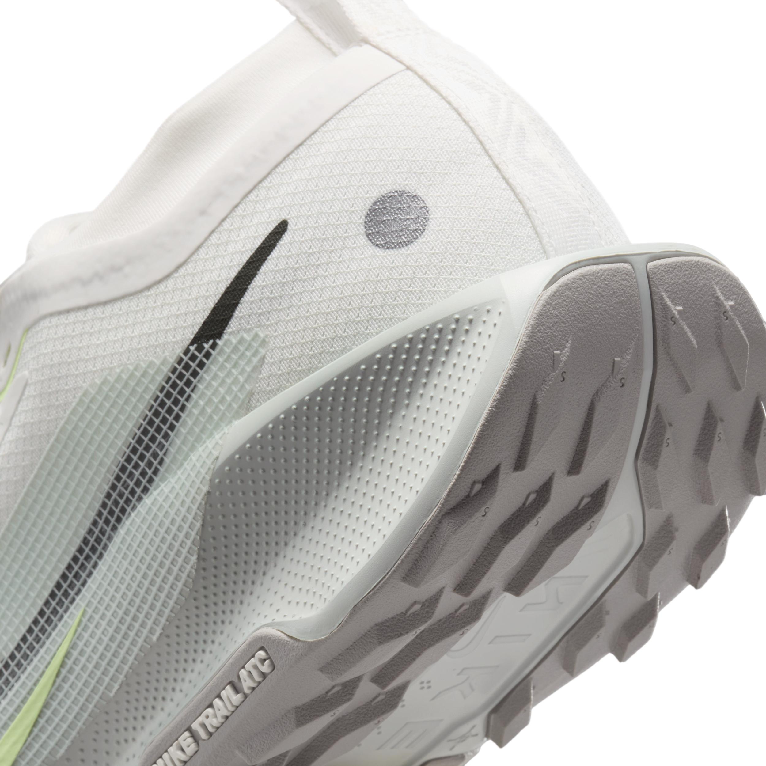 Nike Mens Pegasus Trail 5 GORE-TEX Waterproof Trail Running Shoes | FQ0908-102 Product Image