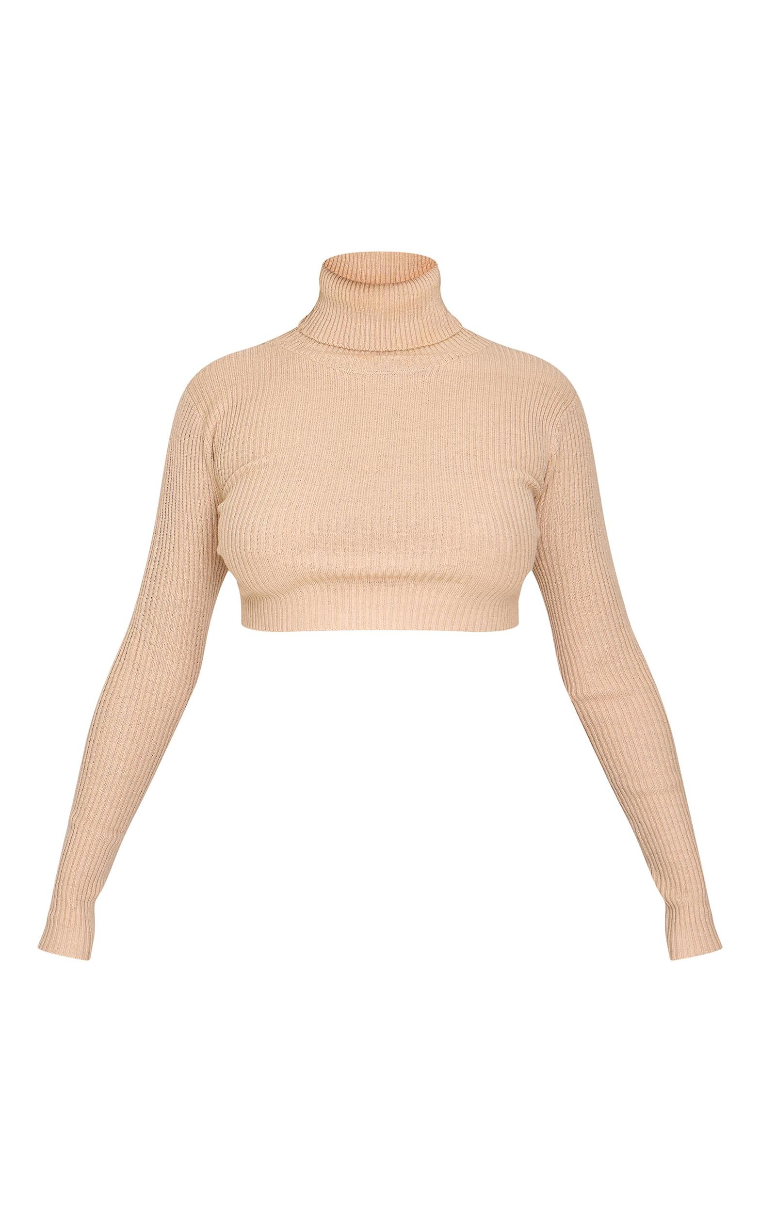 Petite Stone Basic Knit Roll Neck Sweater Product Image