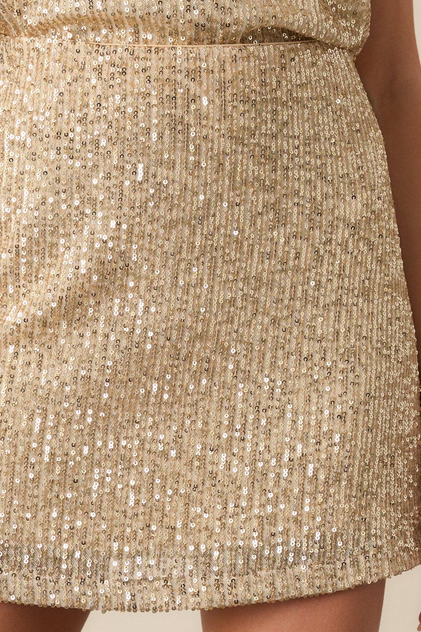 Z Supply Ciera Champagne Sequin Mini Skirt Product Image