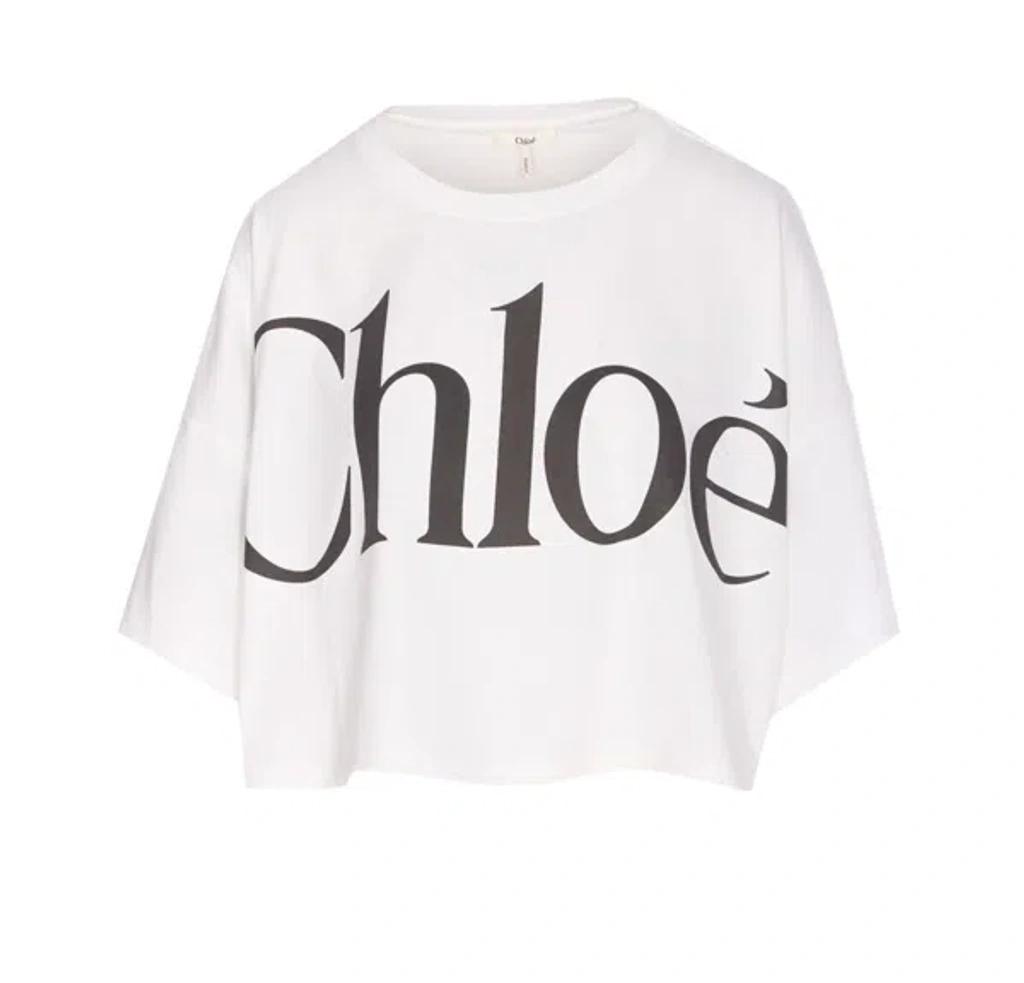 CHLOÉ White Cropped Crewneck T-shirt With Maxi Logo Print On The Front In Cotton Woman In Multicolor Product Image