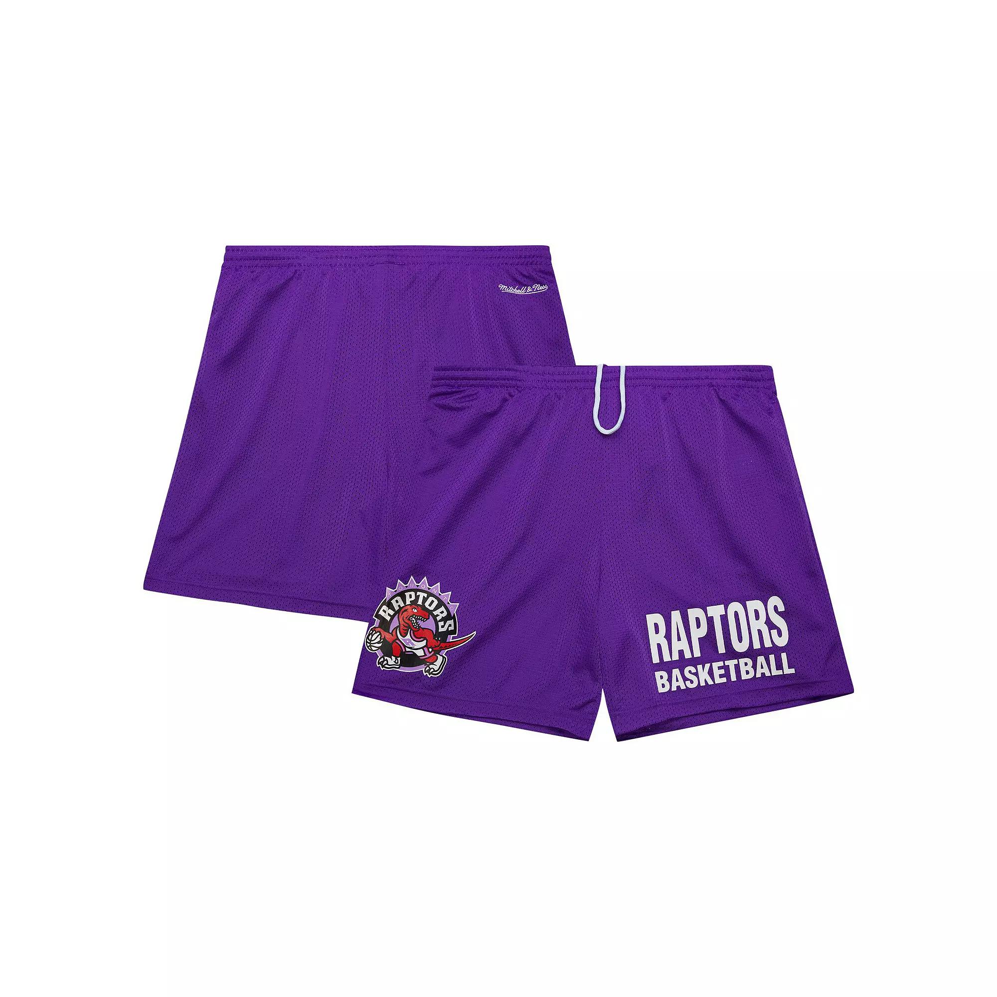 Men's Mitchell & Ness Purple Toronto Raptors Hardwood Classics Gameday Mesh Shorts,  Product Image
