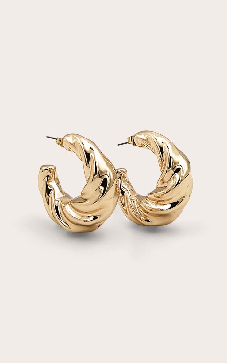 Gold Twist Detail Hoop Earrings Product Image