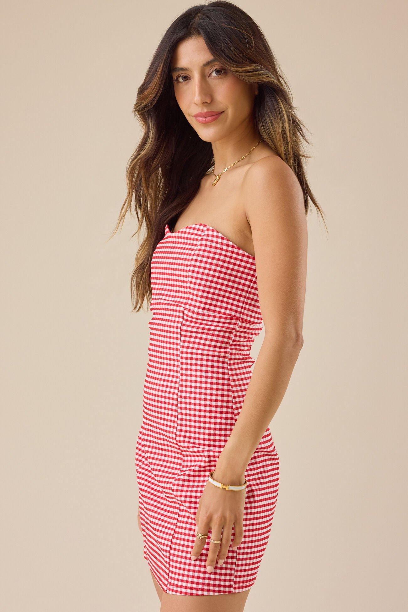 Ruby Gingham Mini Dress Product Image