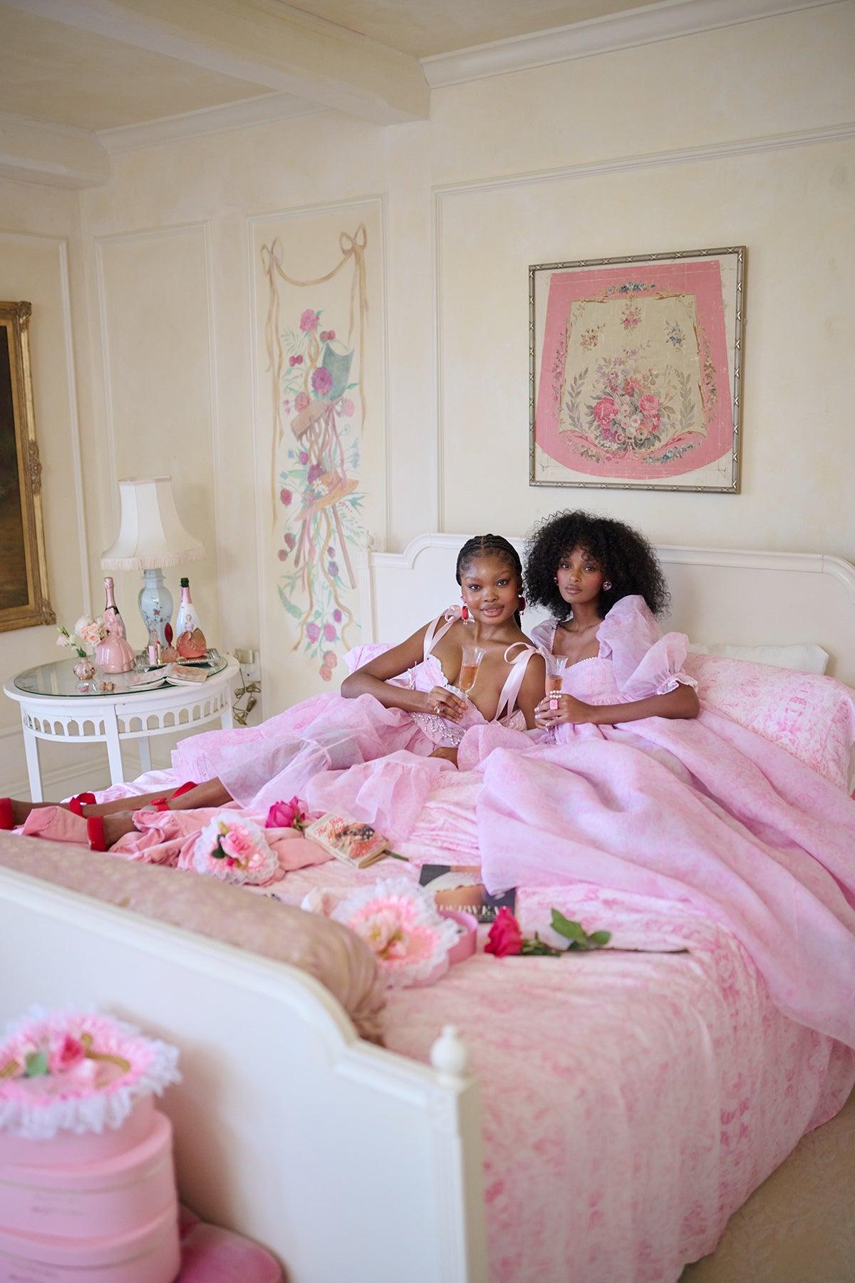 The Pink Porcelain French Corset Puff Dress Product Image