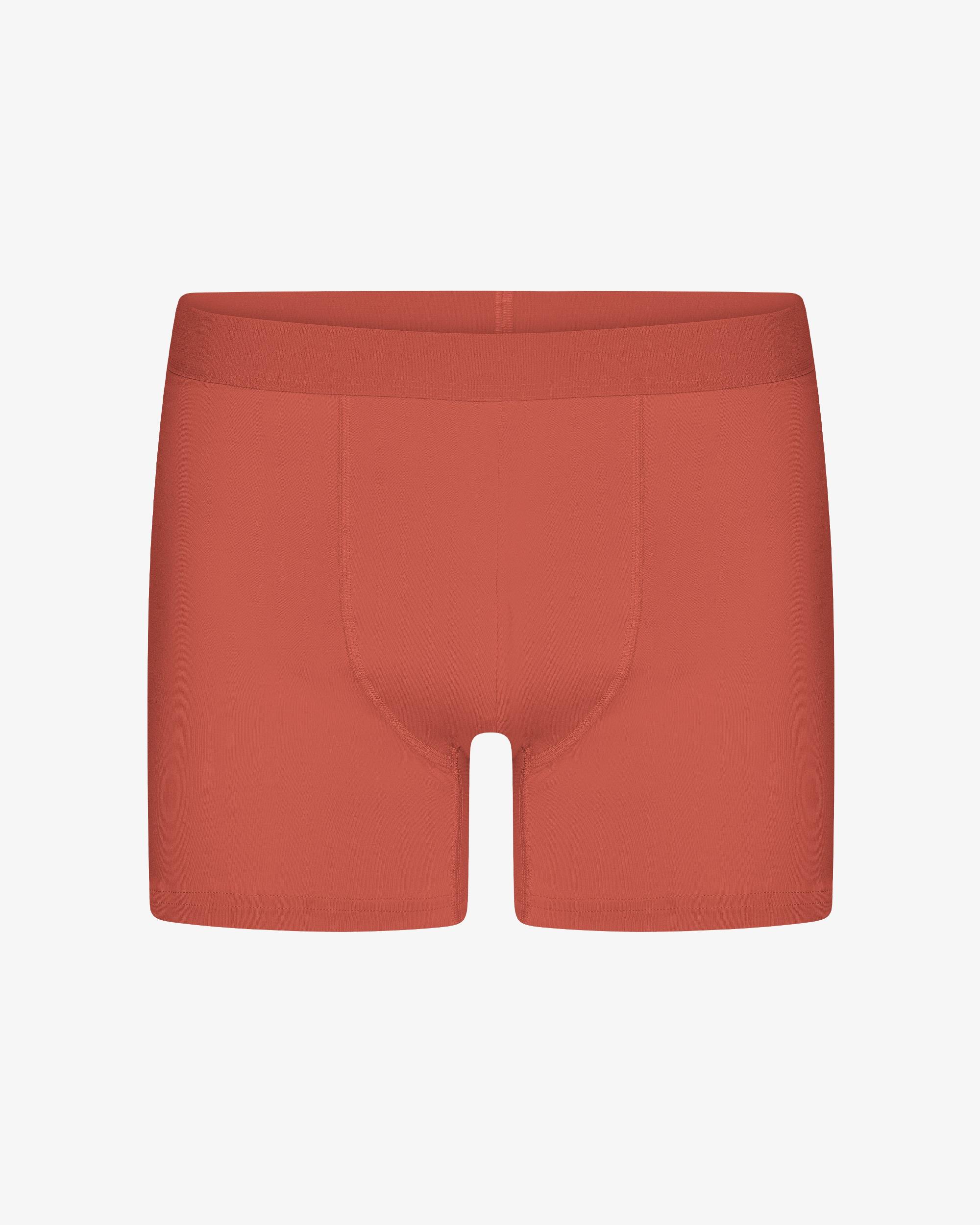 Classic Organic Boxer Briefs - Lava Grey Product Image