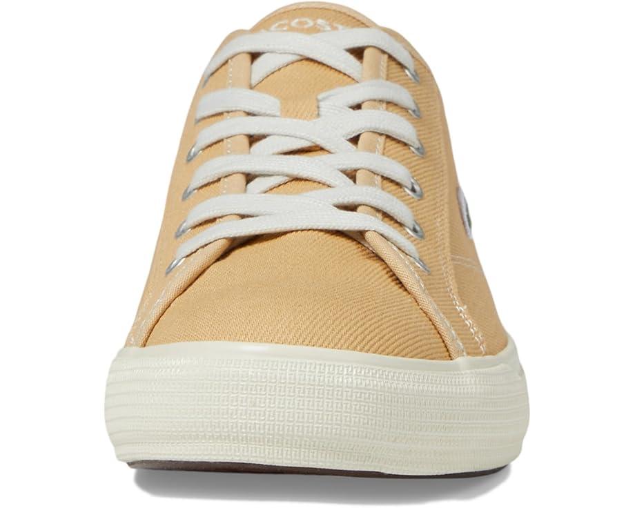 Backcourt Product Image