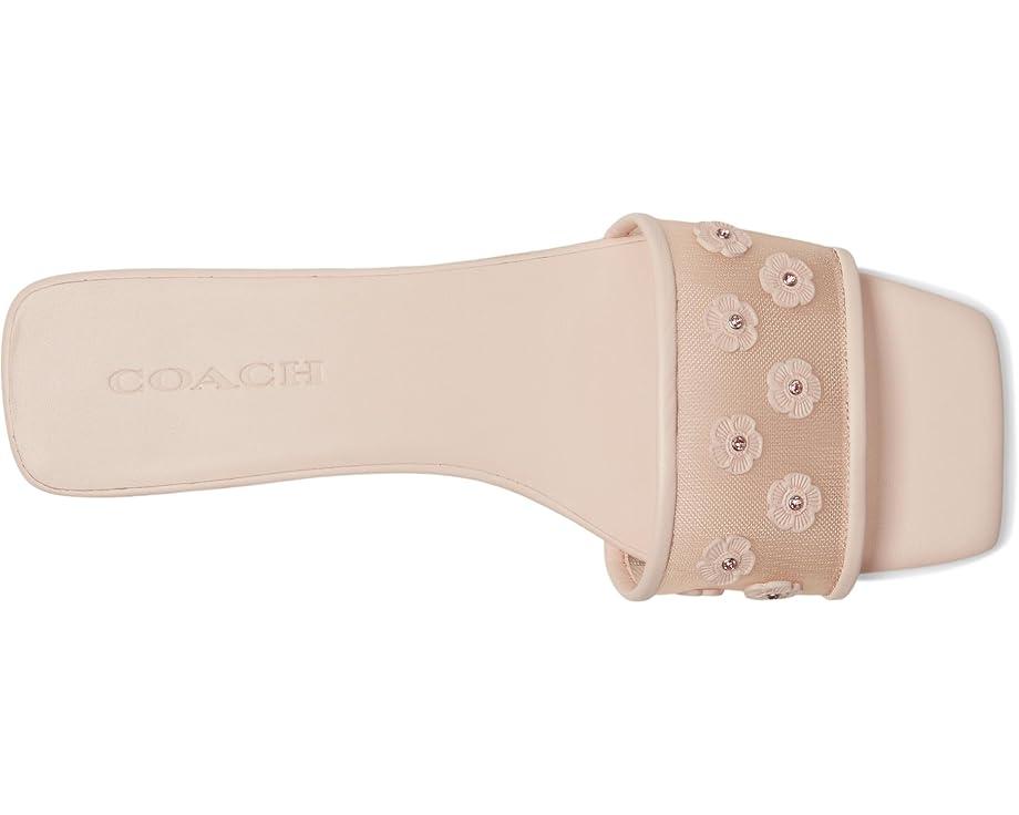 Sculpted C Metallic Leather Flat Sandals Product Image