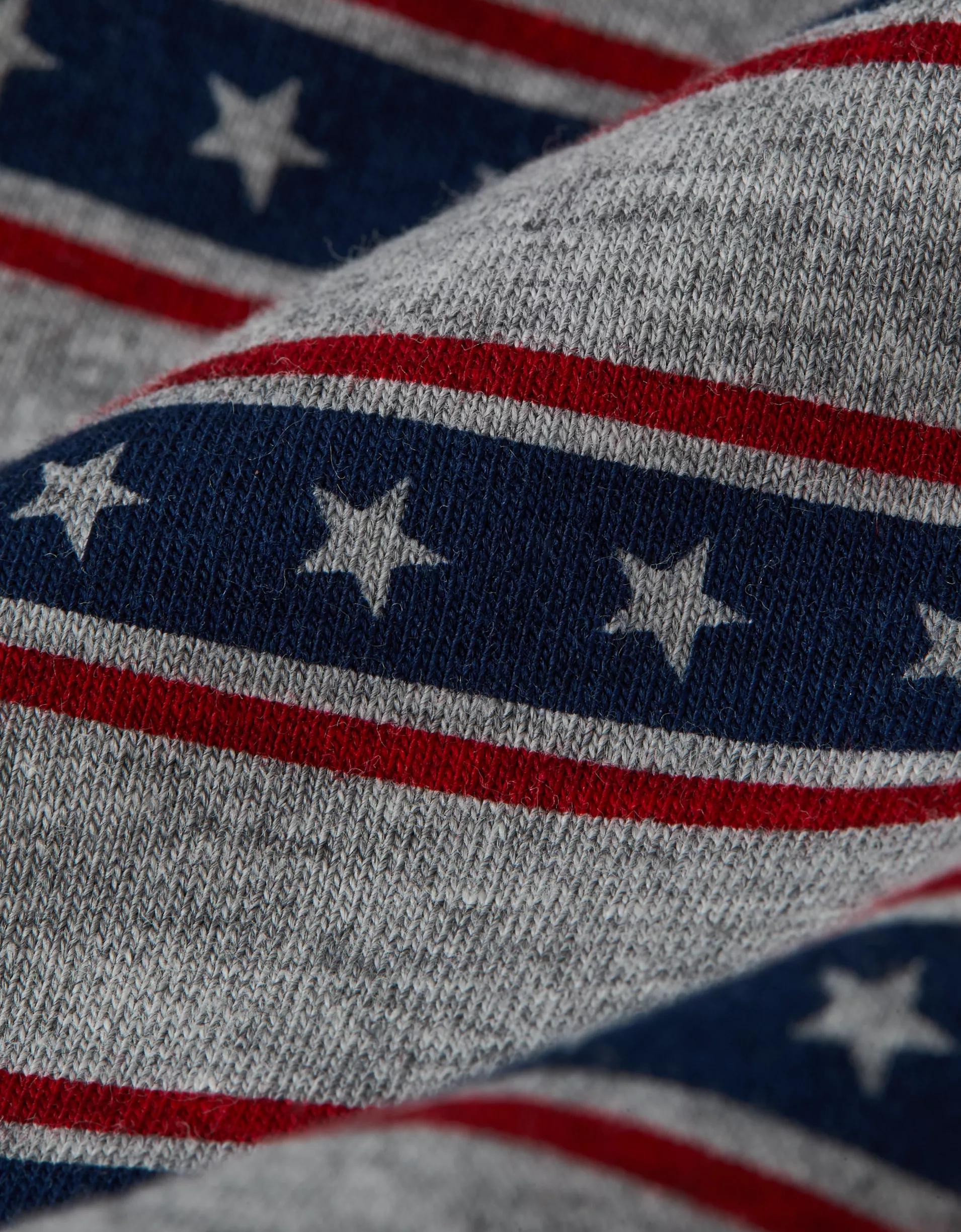 AEO Men's USA 4.5" Classic Boxer Brief Product Image