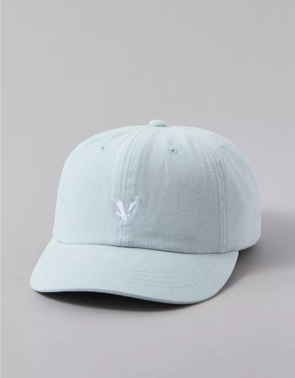 AE Eagle Baseball Hat Product Image