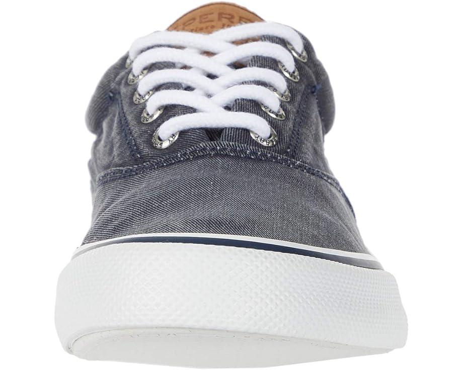 CVO Canvas Product Image