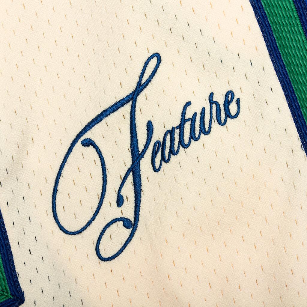 Feature x Mitchell & Ness Shorts - Blue Male Product Image