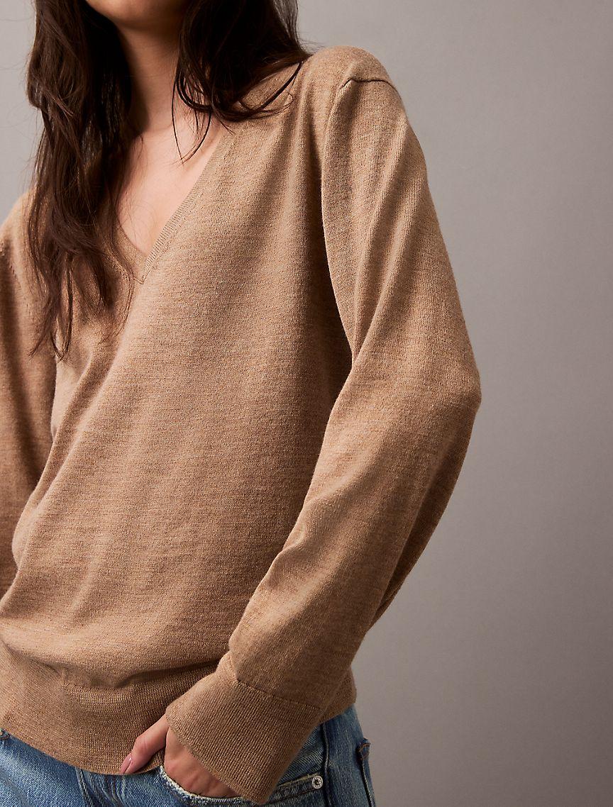 Extra Fine Merino Blend V-Neck Sweater Product Image