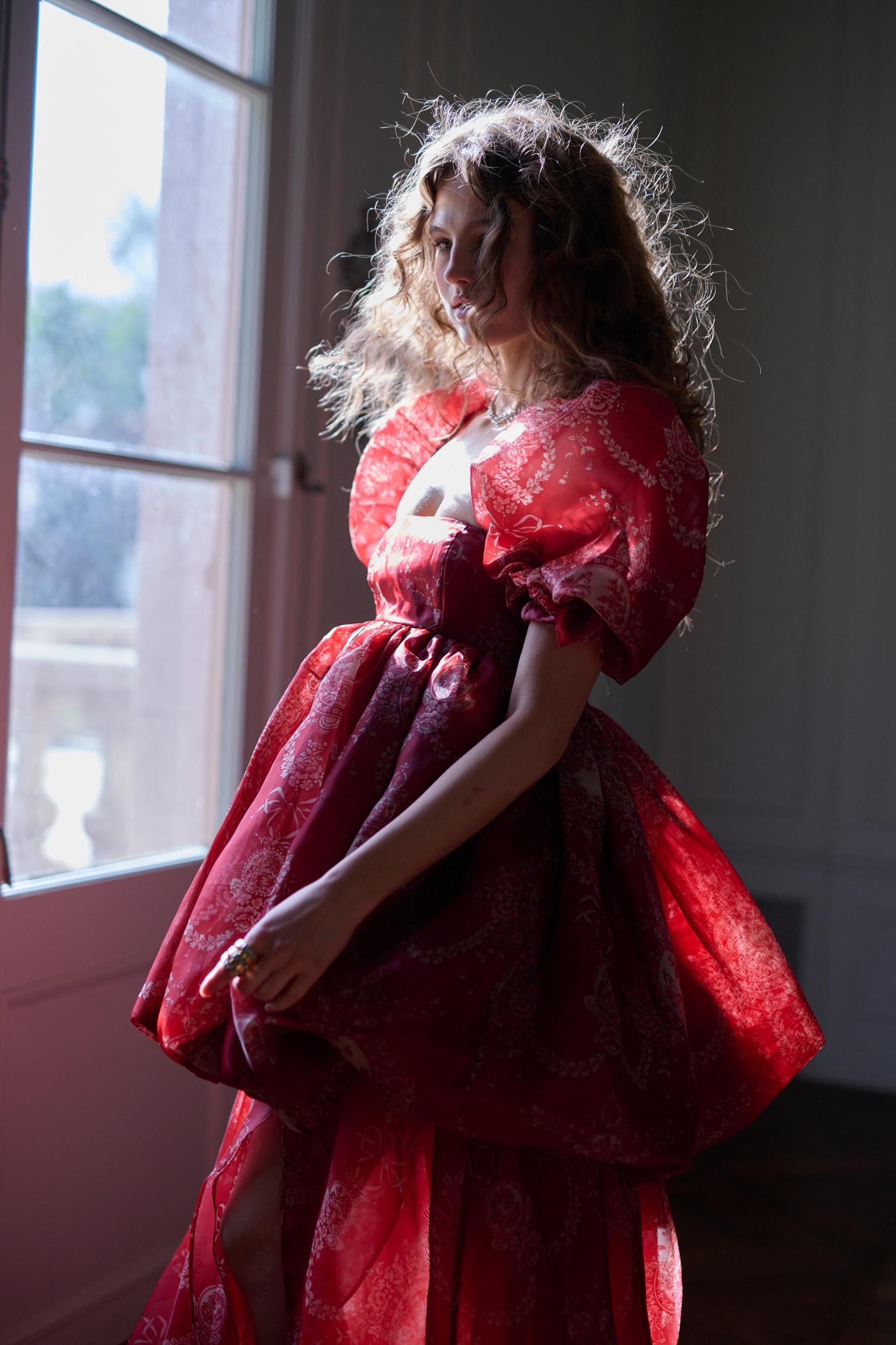 The Ornament Fairytale Gown Product Image