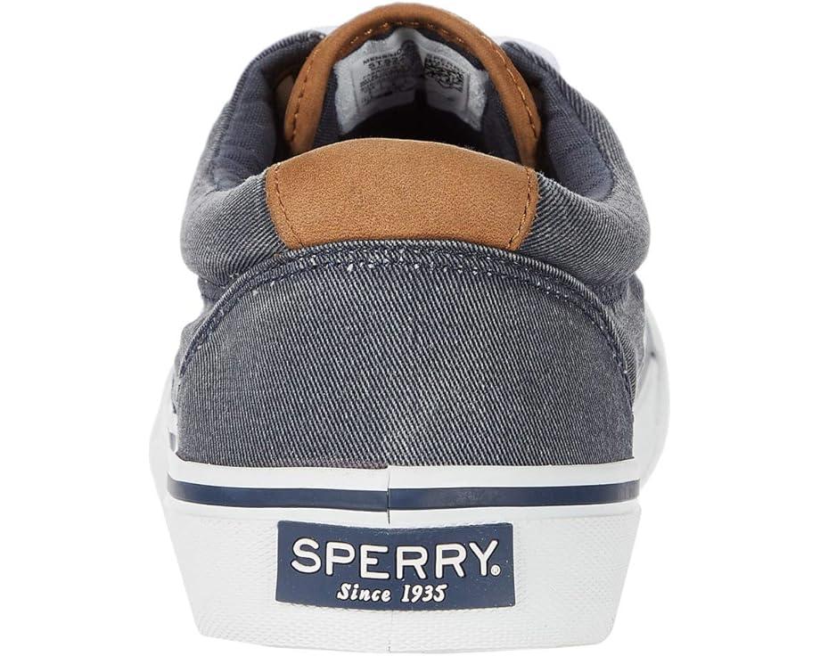 CVO Canvas Product Image