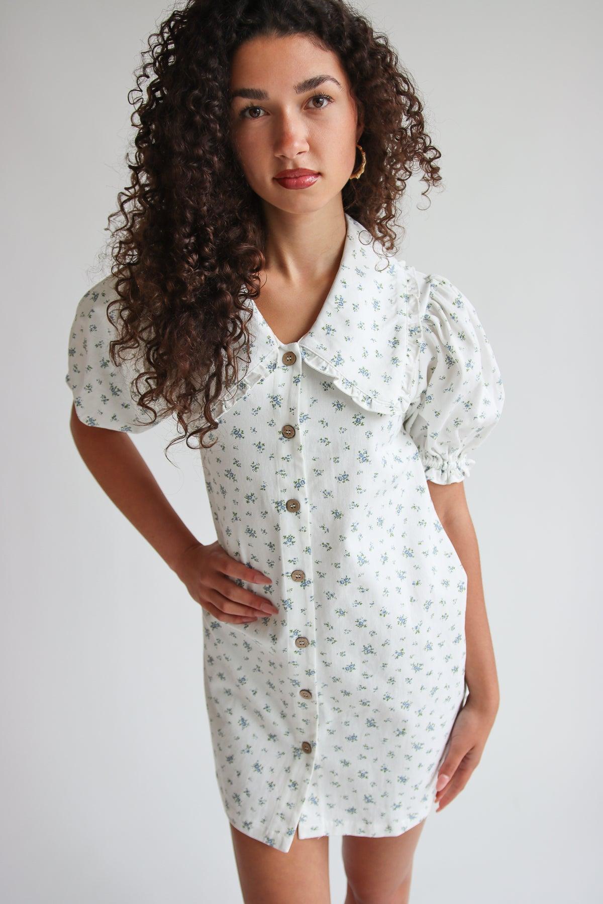 Floral Peter Pan Collar Denim Dress Product Image