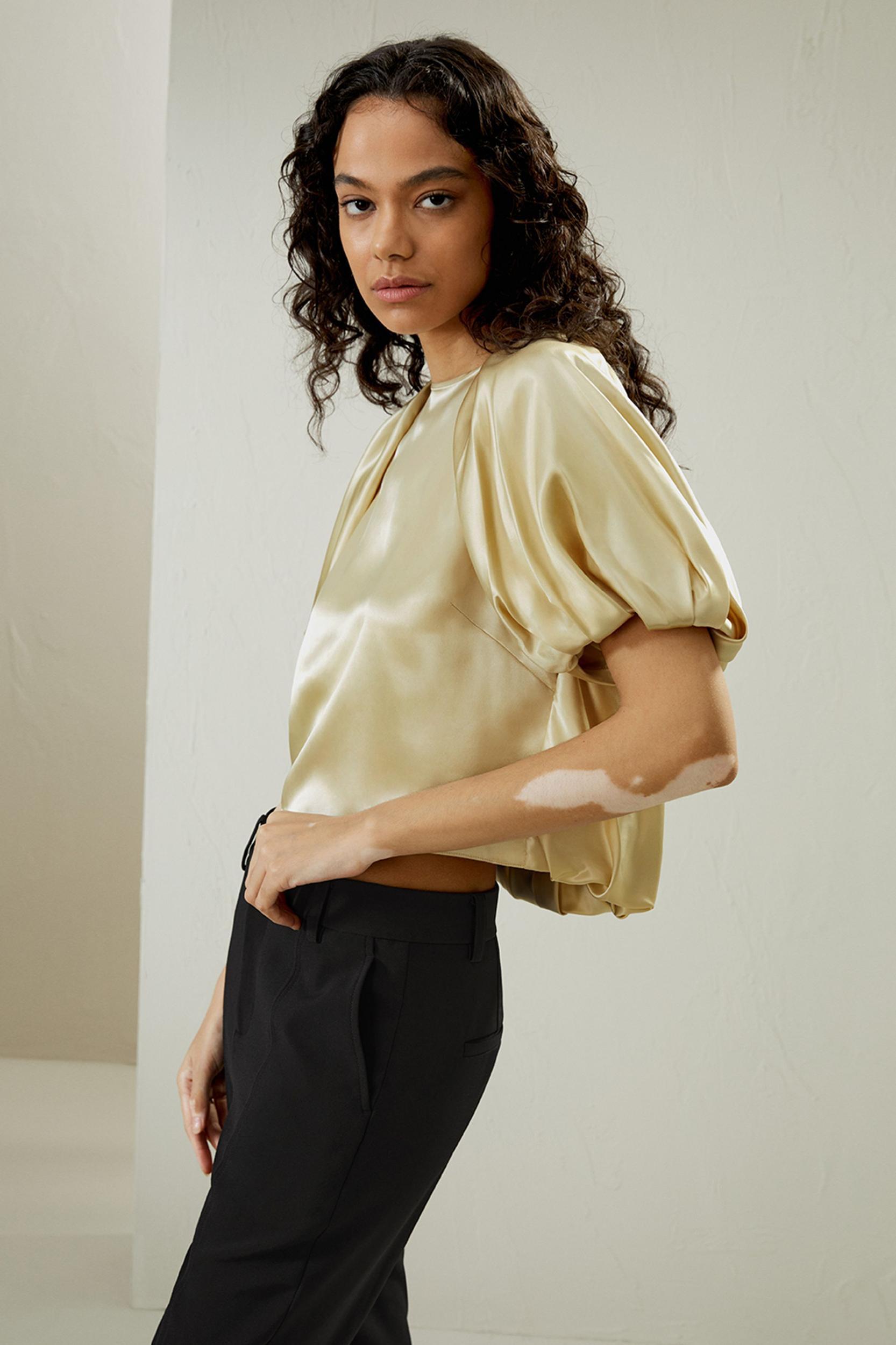 Puff Short Sleeve Watershine Silk Top Product Image