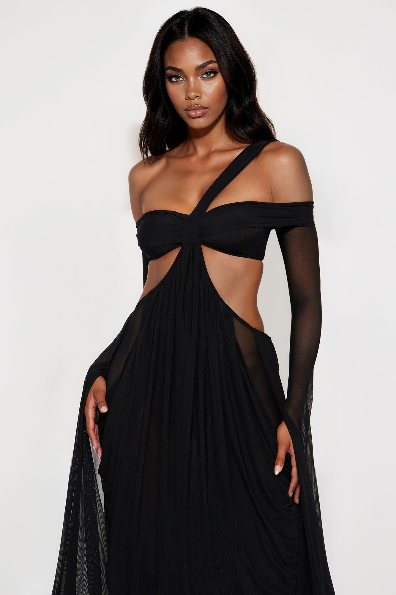 Alora Mesh Maxi Dress - Black Female Product Image