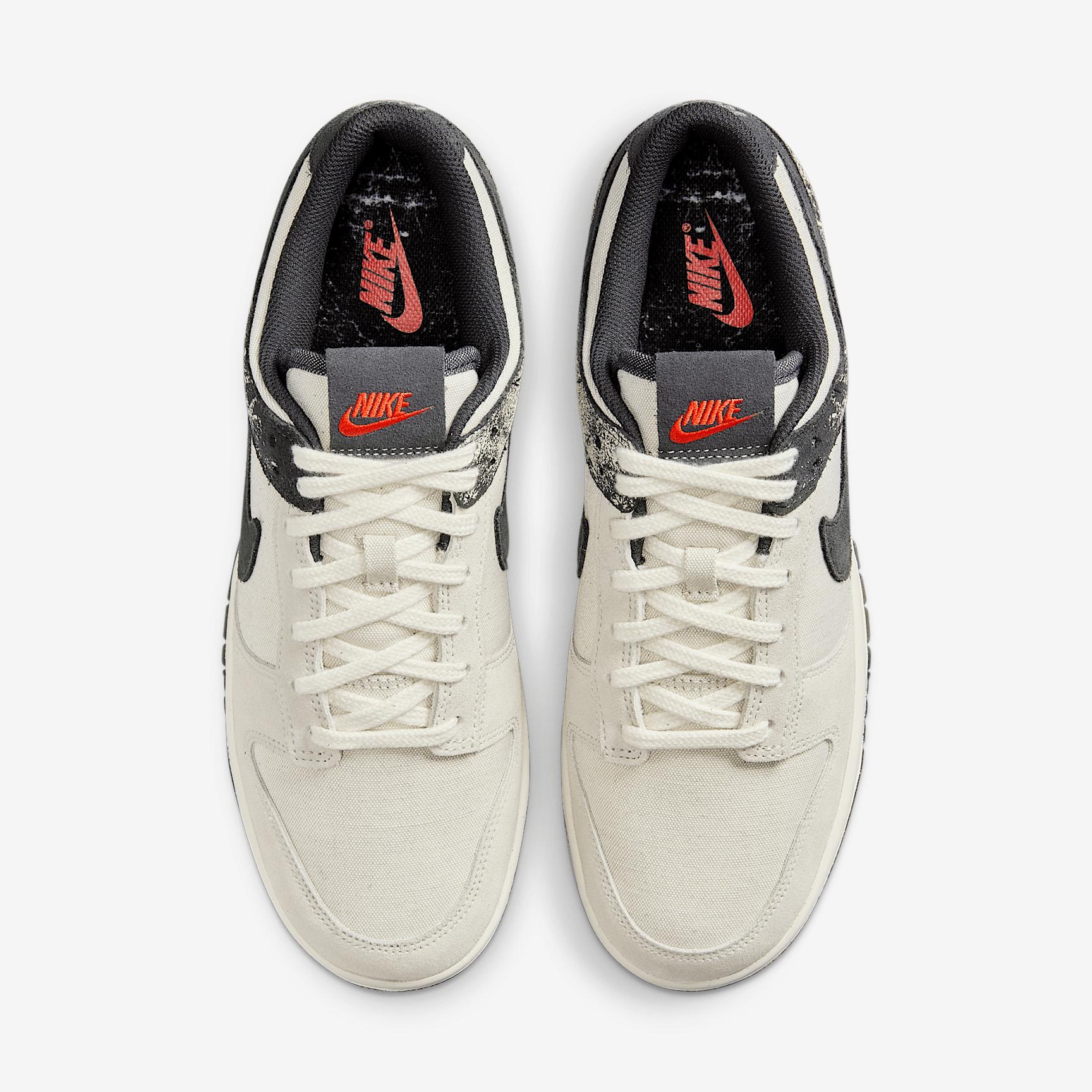 Nike Mens Dunk Low Retro SE Shoes | IB6399-002 Product Image