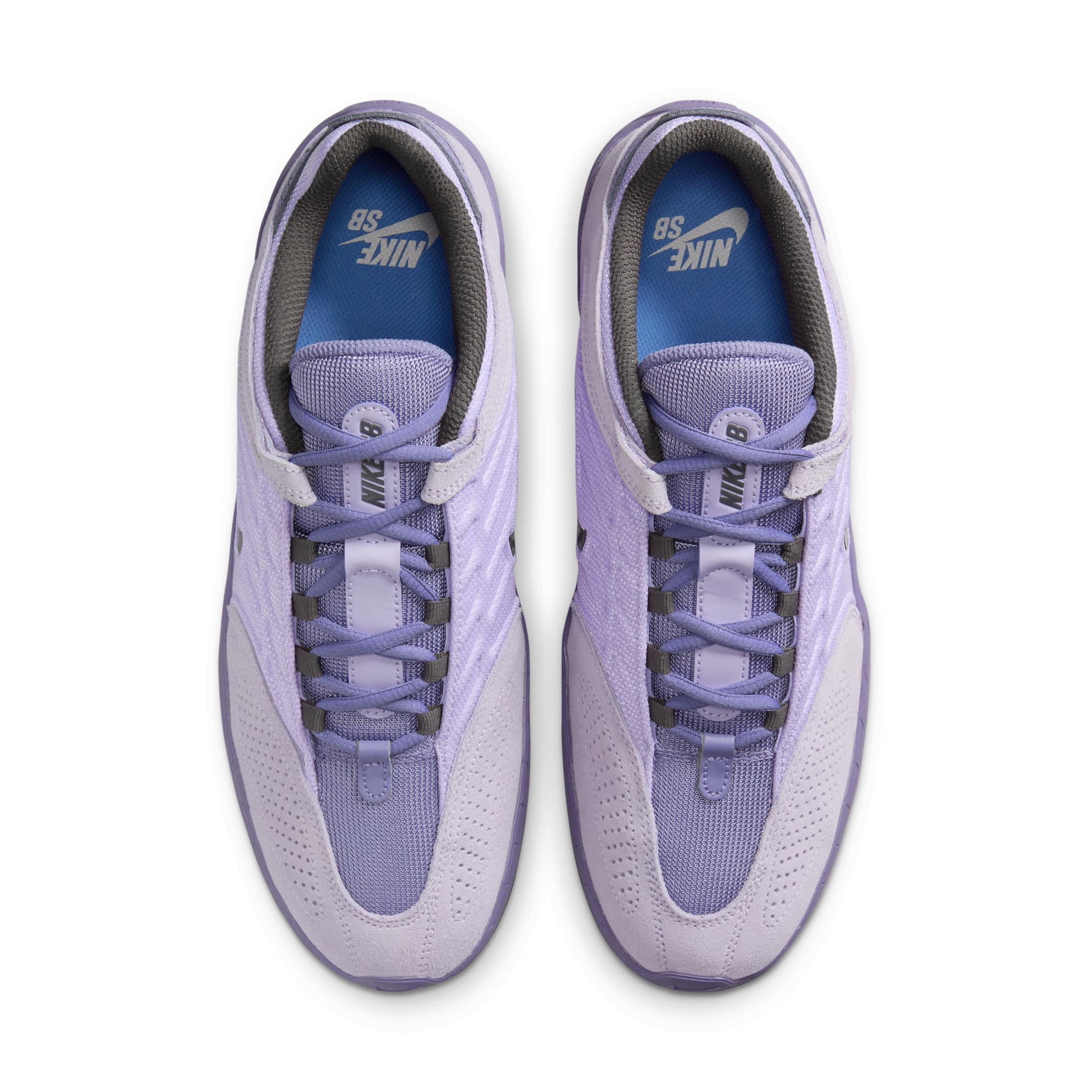 Mens Nike SB Vertebrae Shoes | FD4691-501 Product Image