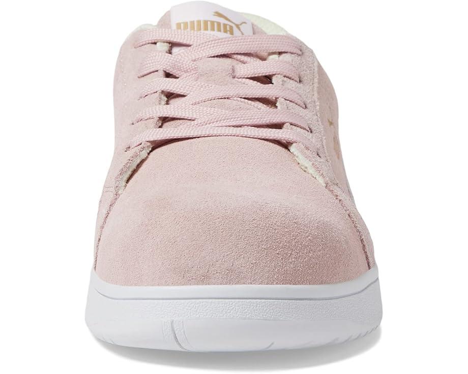 Iconic Suede Low ASTM SD Product Image