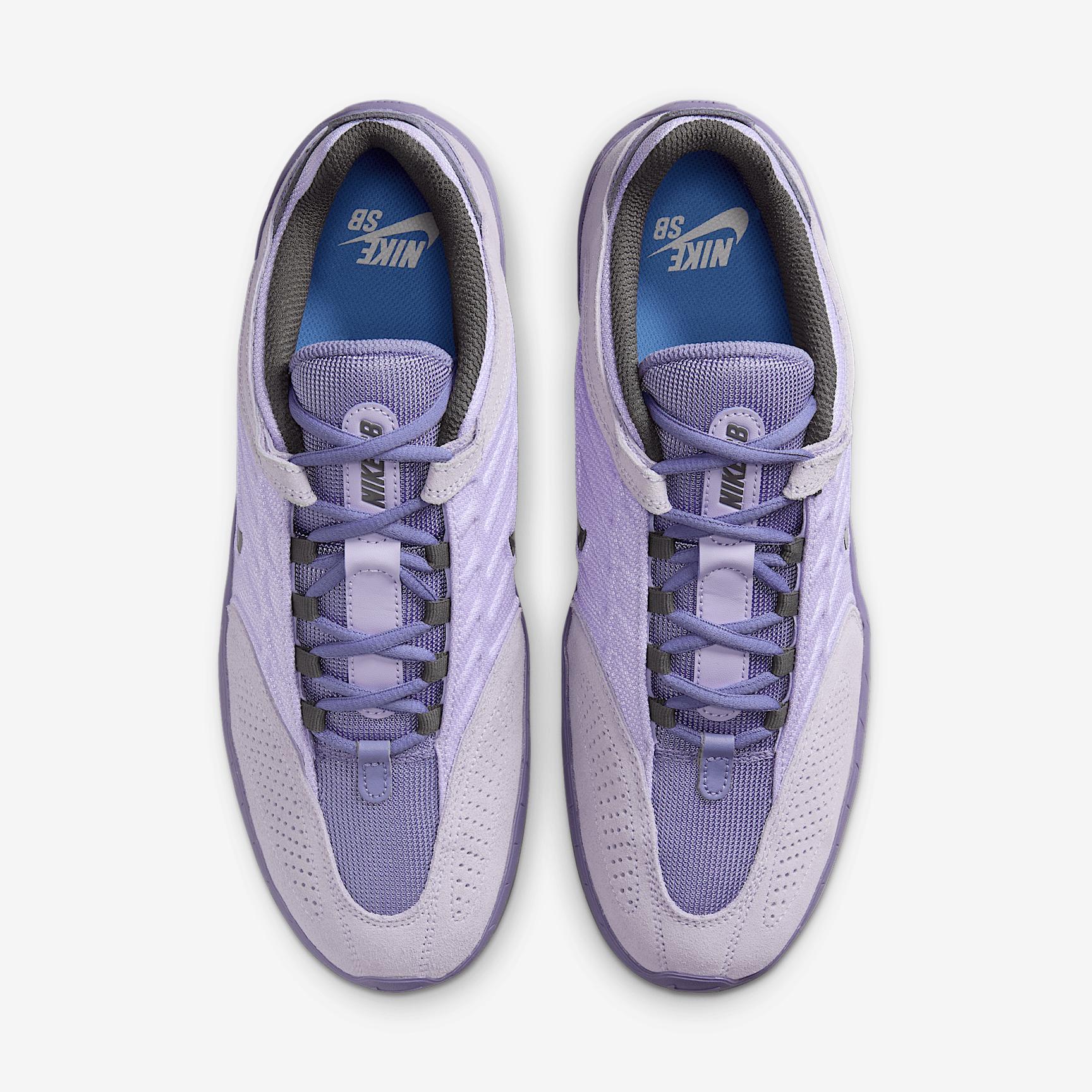 Mens Nike SB Vertebrae Shoes | FD4691-501 Product Image