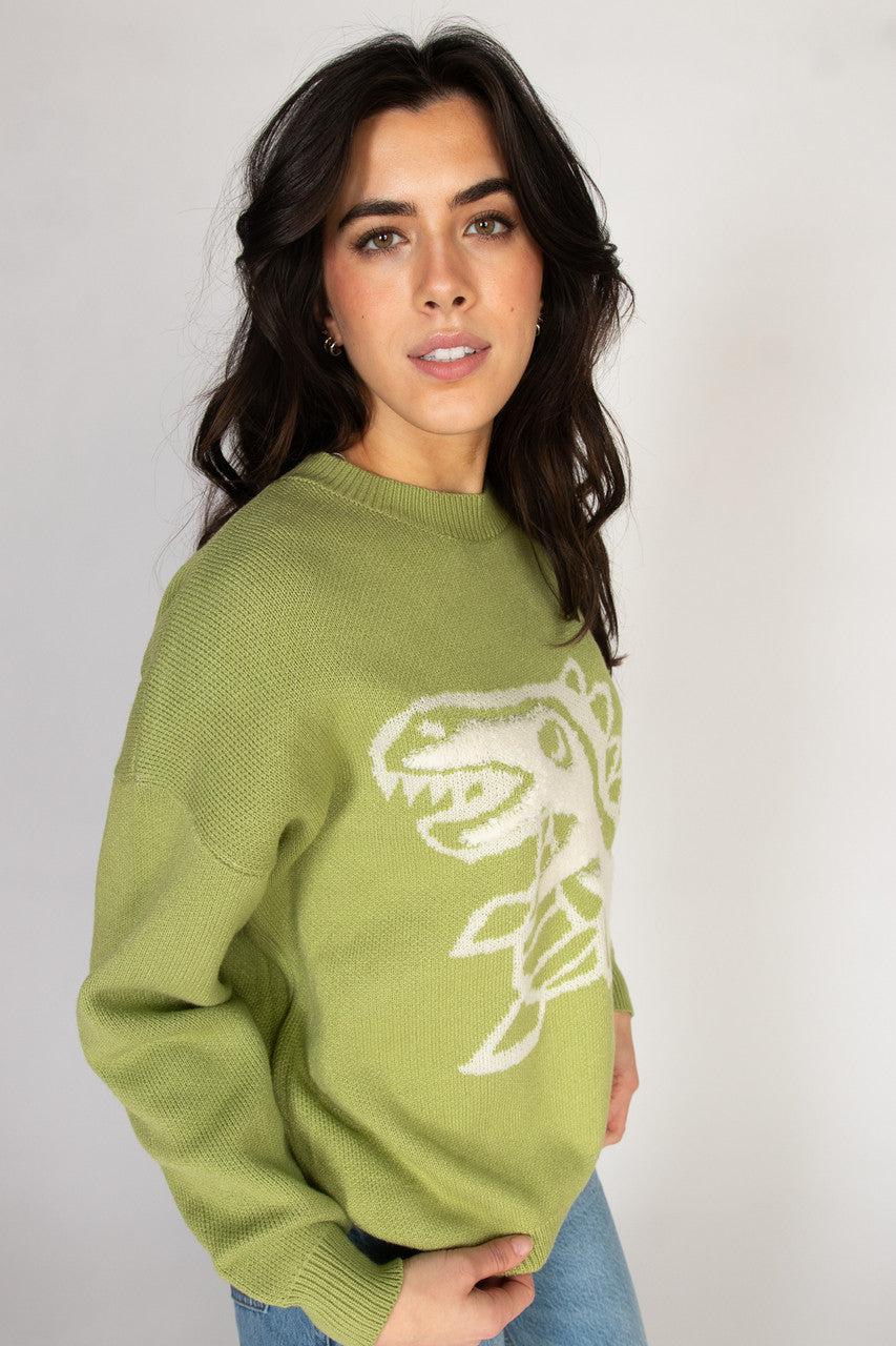 Dinosaur Sweater Product Image