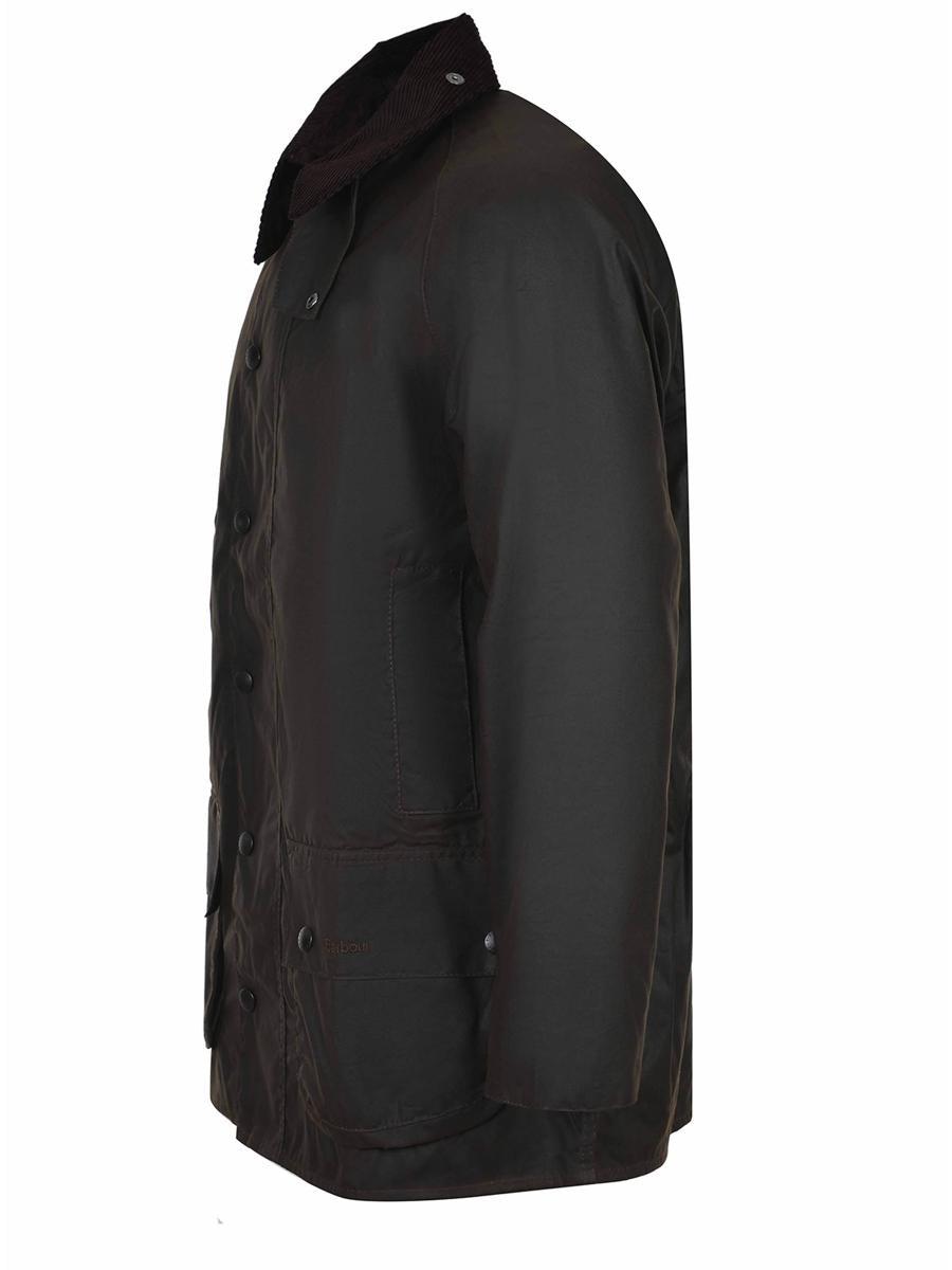 Ashby cotton jacket Product Image
