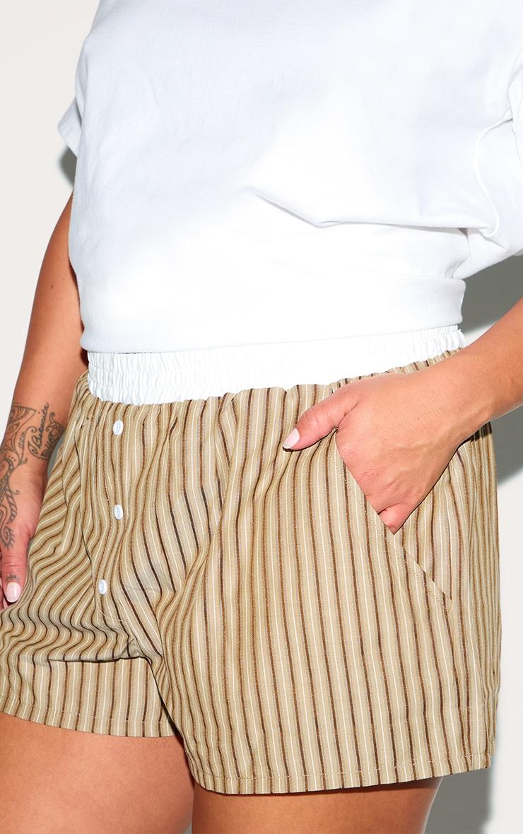 Plus Chocolate Pinstripe Cotton Poplin Contrast Waistband Short Product Image