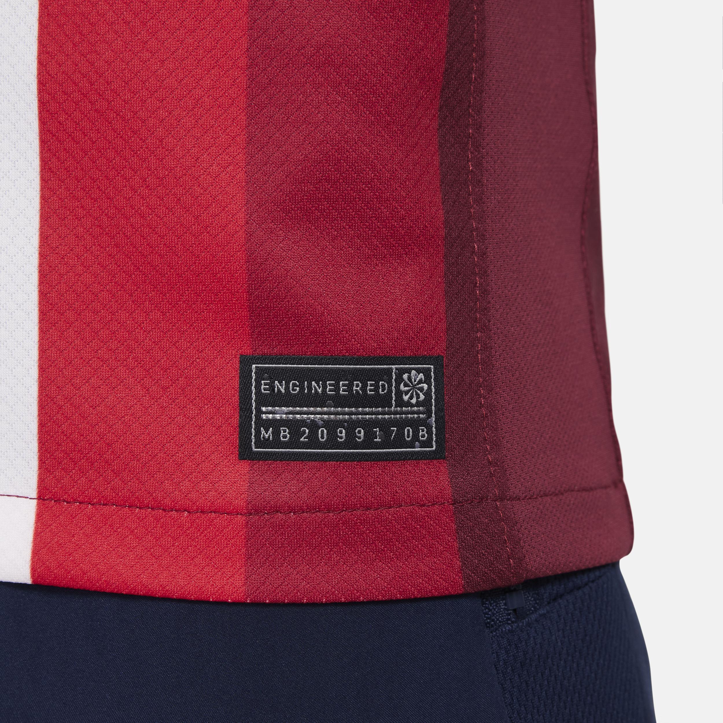 Norway (Men's Team) 2024/25 Stadium Home Big Kids' Nike Dri-FIT Soccer Replica Jersey Product Image