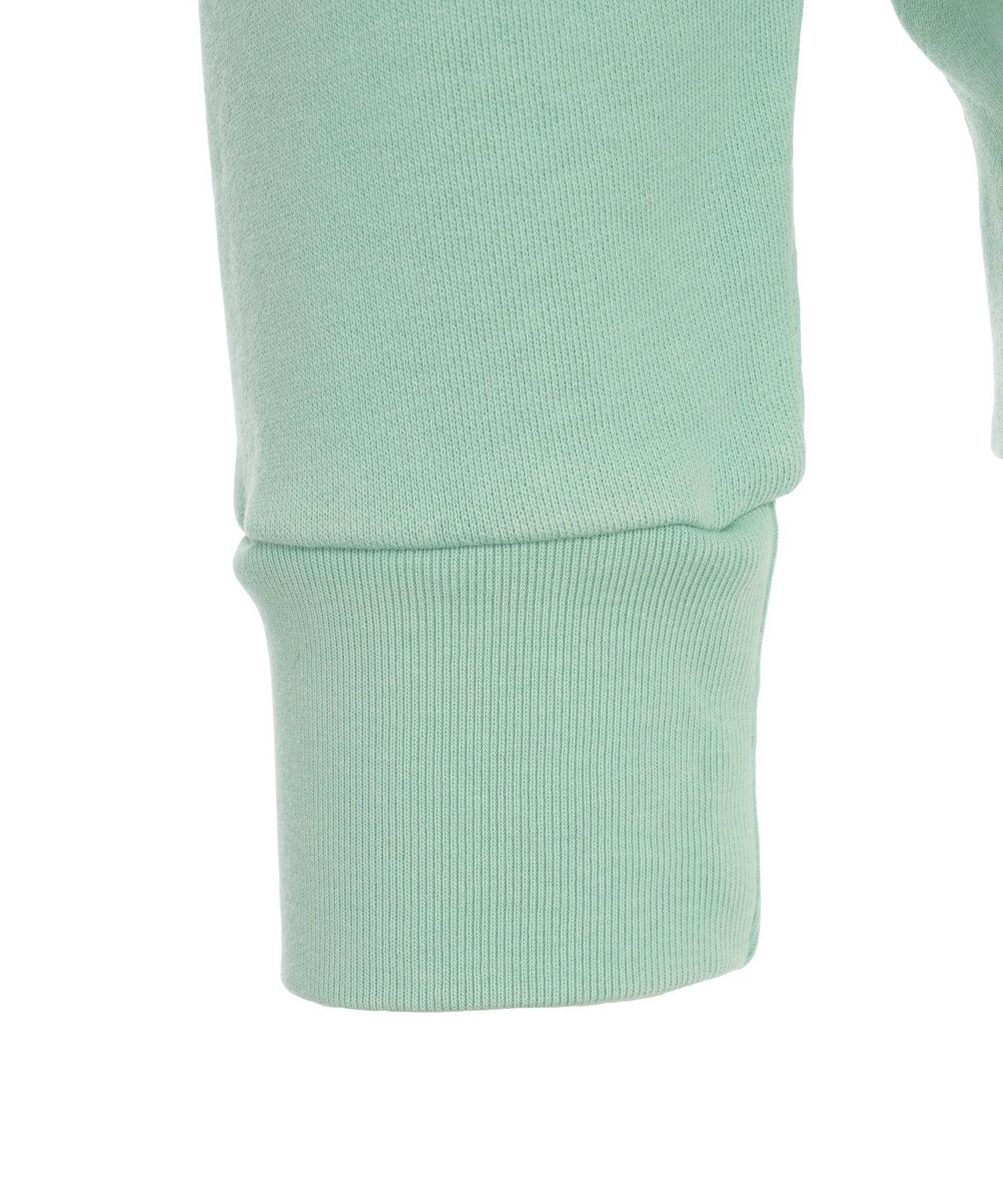 Hoodie with embroidered logo Product Image