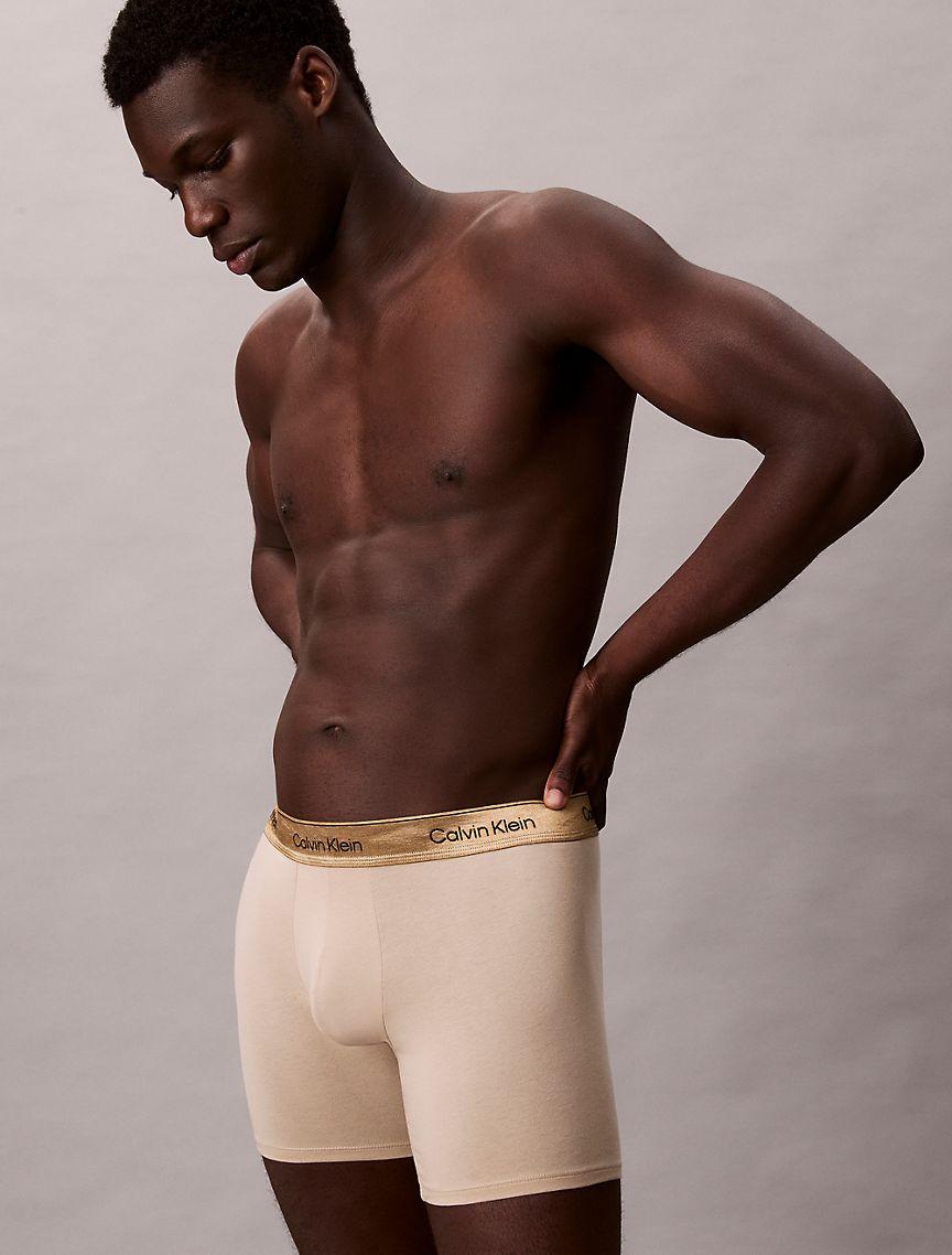 Icon Cotton Stretch Limited Edition Boxer Brief Product Image