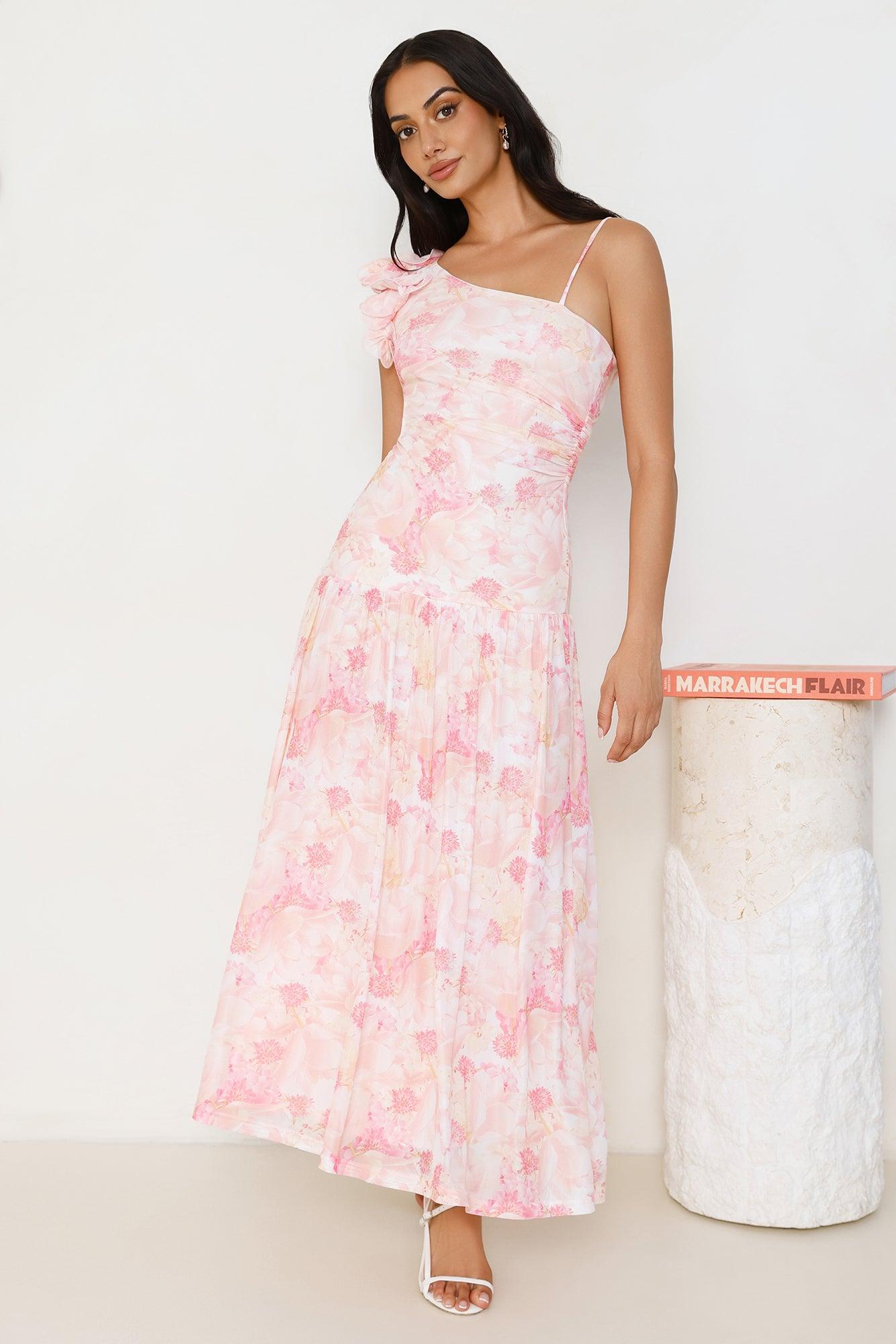 Chic Encounters Mesh Maxi Dress Print Product Image