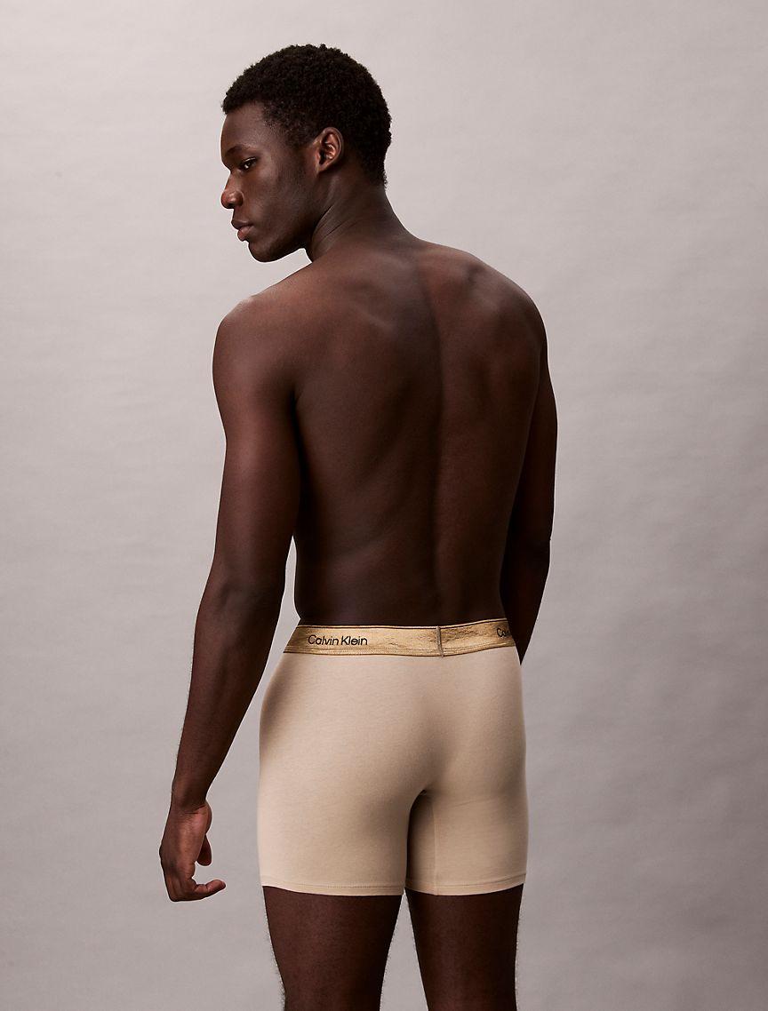 Icon Cotton Stretch Limited Edition Boxer Brief Product Image