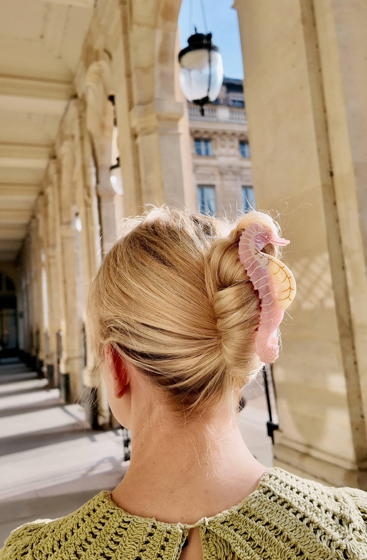 Solar Eclipse | Seahorse Claw Hair Clip Product Image