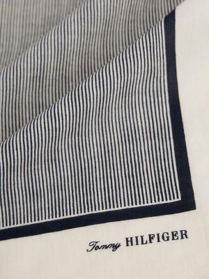 Ithaca Stripe Bandana Product Image