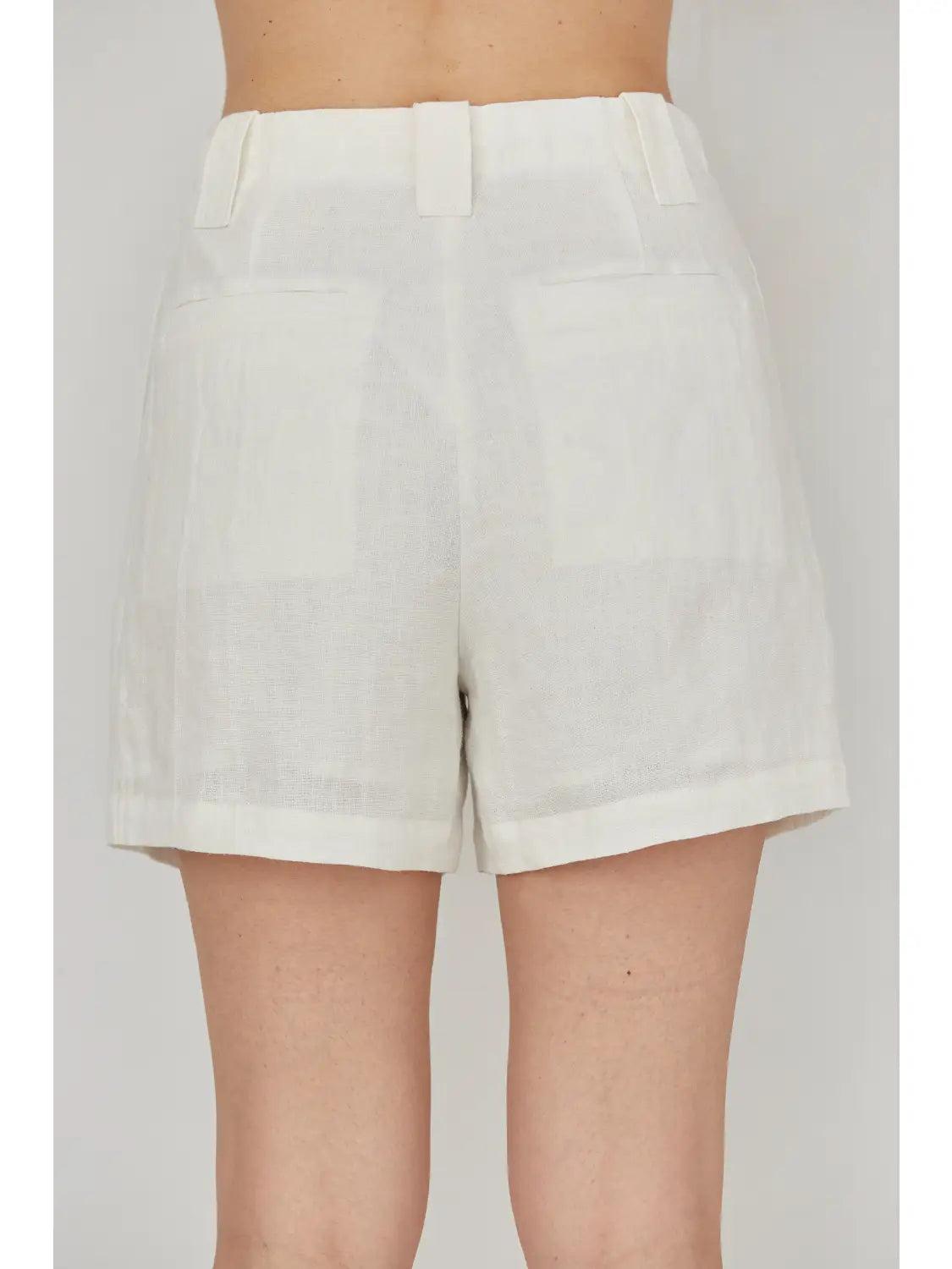 Lined Pleated Linen Shorts Product Image