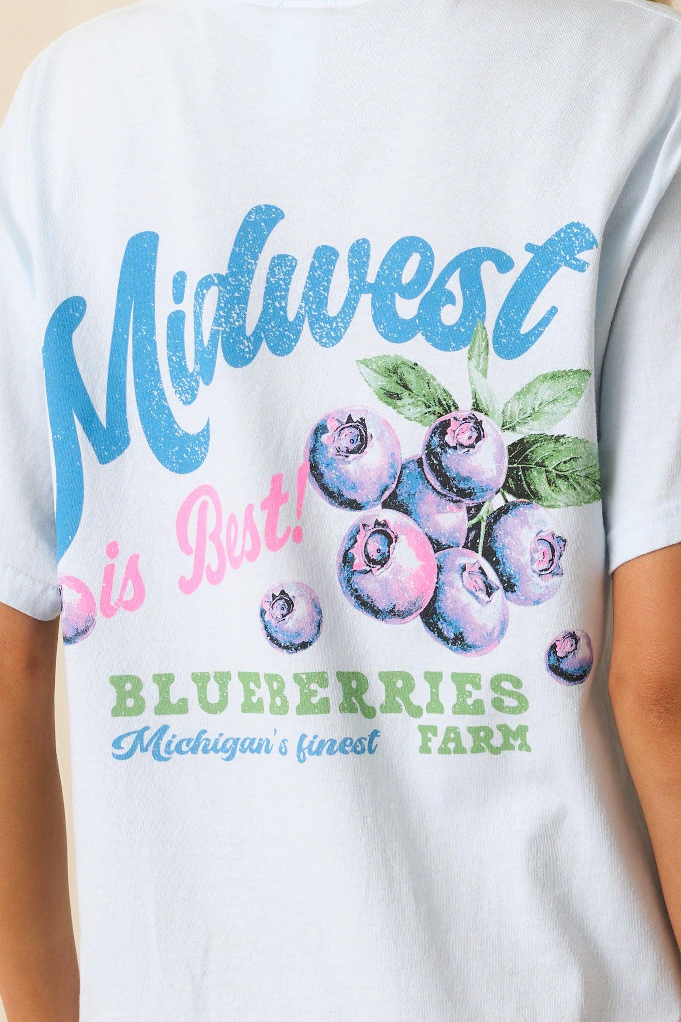 Midwest Is Best Sky Blue Cotton Blueberry Graphic Tee L/XL / Sky Blue Product Image